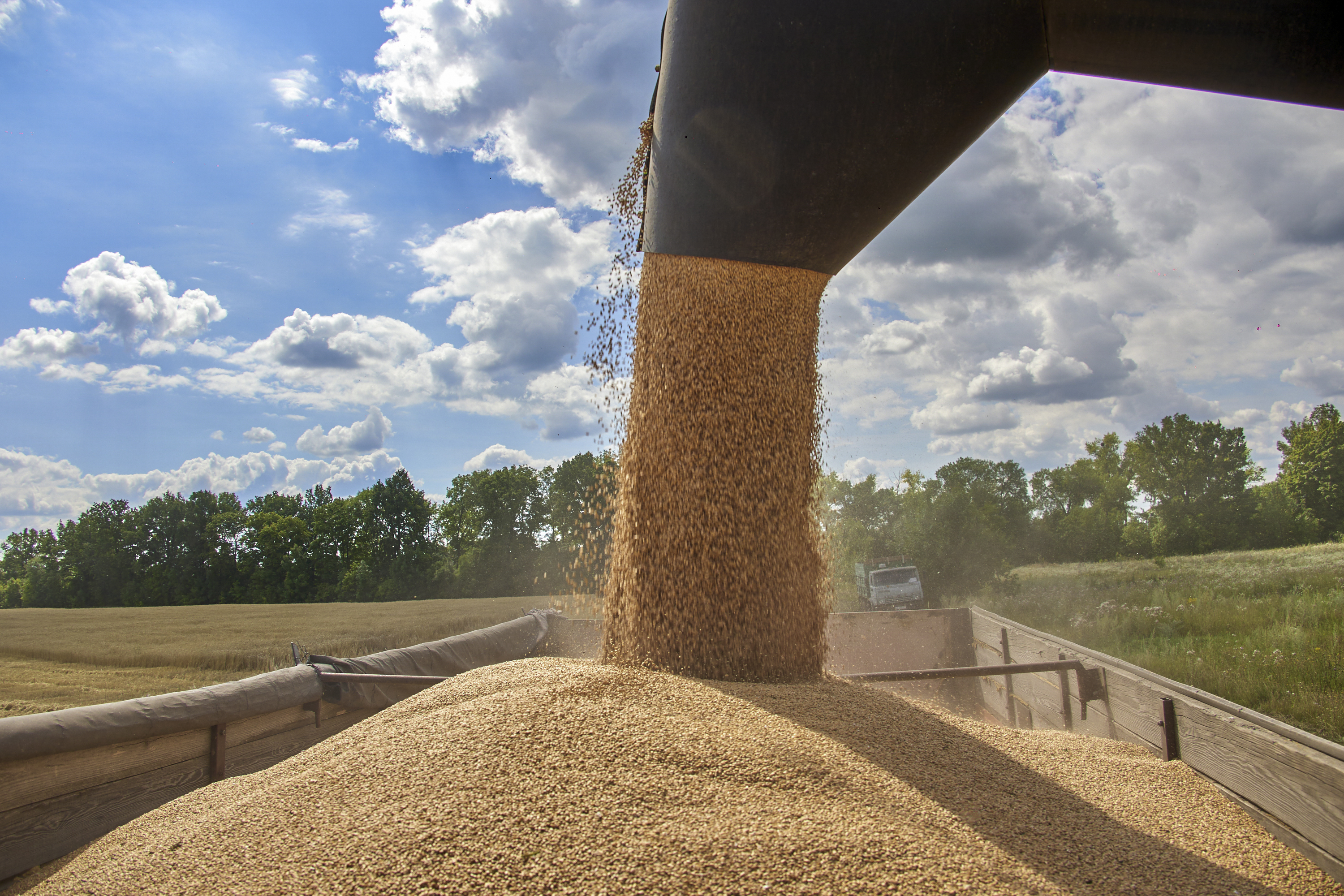 Harvest in the Kharkiv region amid the Russian invasion of Ukraine