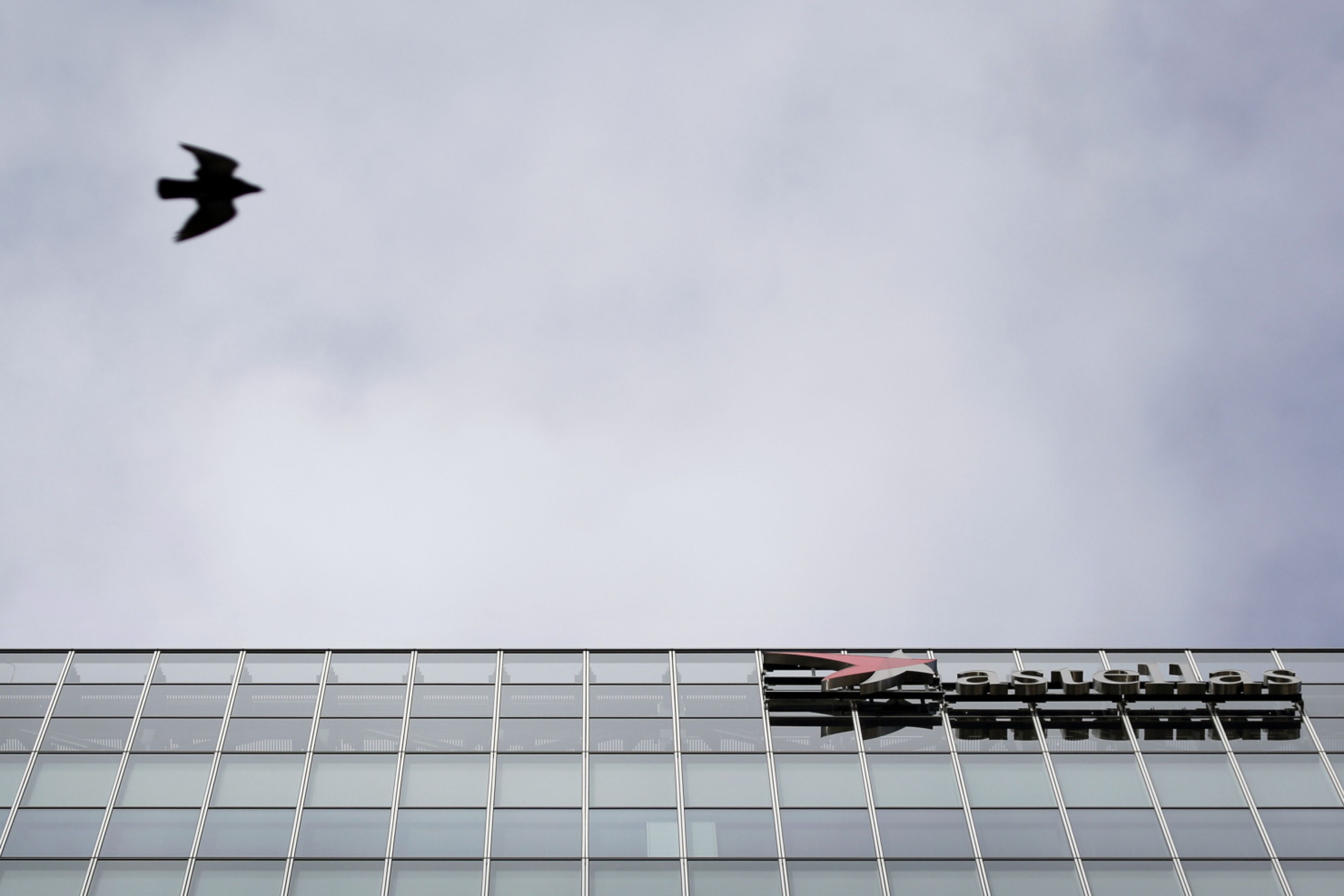 Pill for Hot Flashes to Reap $2.2 Billion a Year, Astellas Says