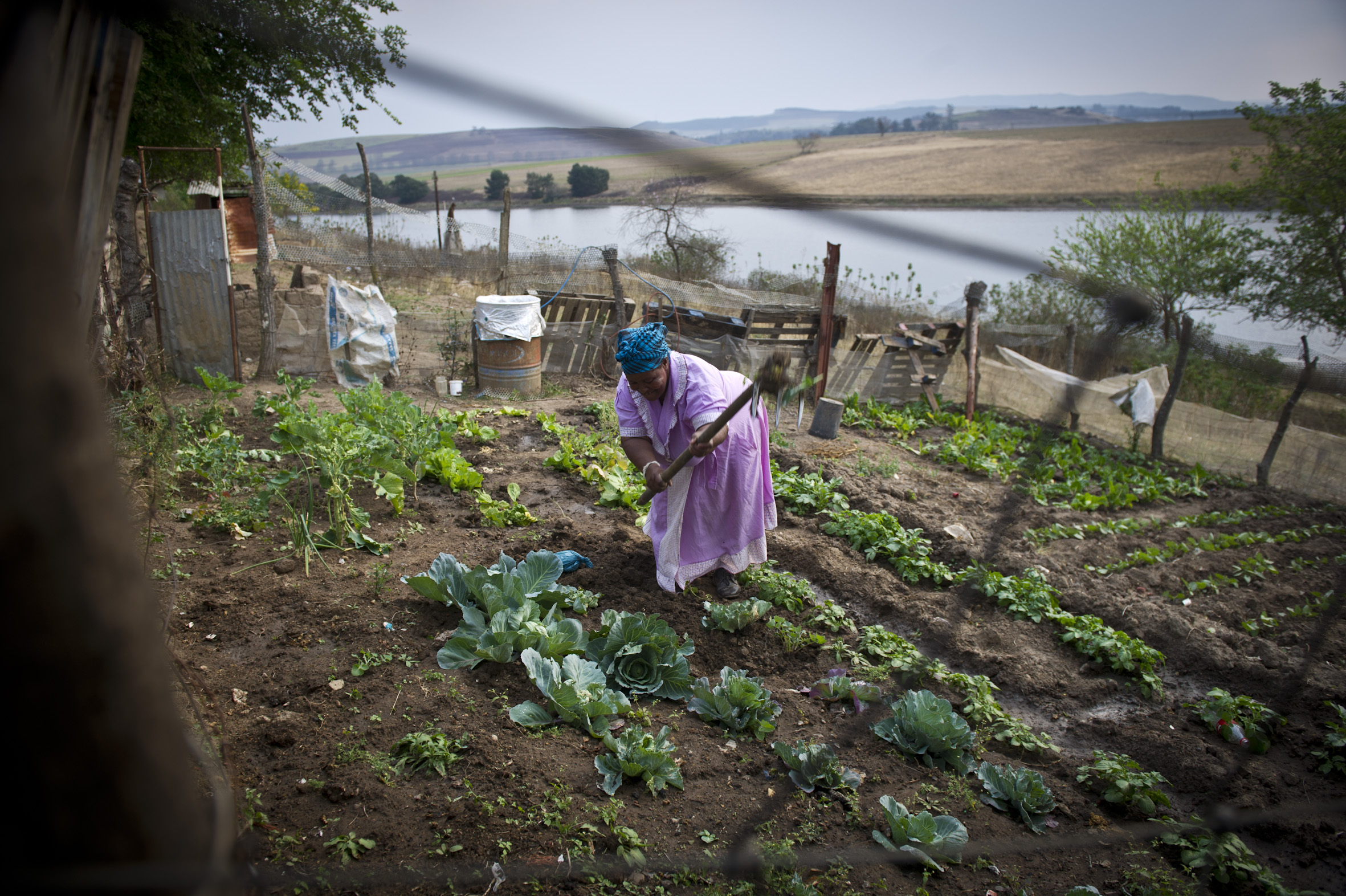 The perils of missing teeth and wrinkled skin – will a new law curb witch-hunts?