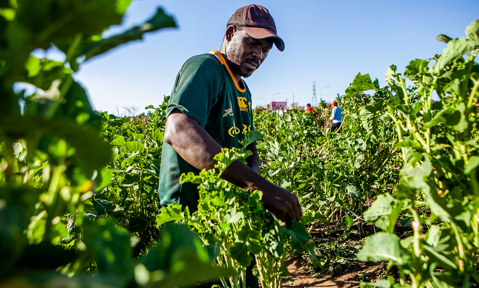 Informal sector entrepreneurship is the silver bullet to address poverty and unemployment