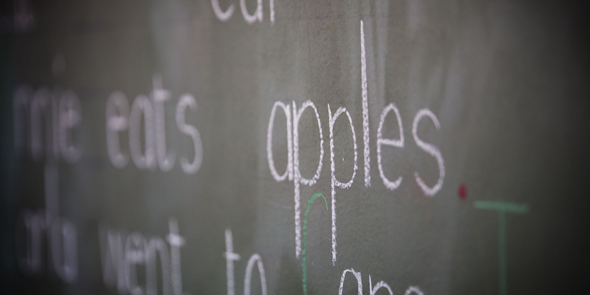 A proposal to upskill the 81% of Grade 4 children in South Africa who can’t read