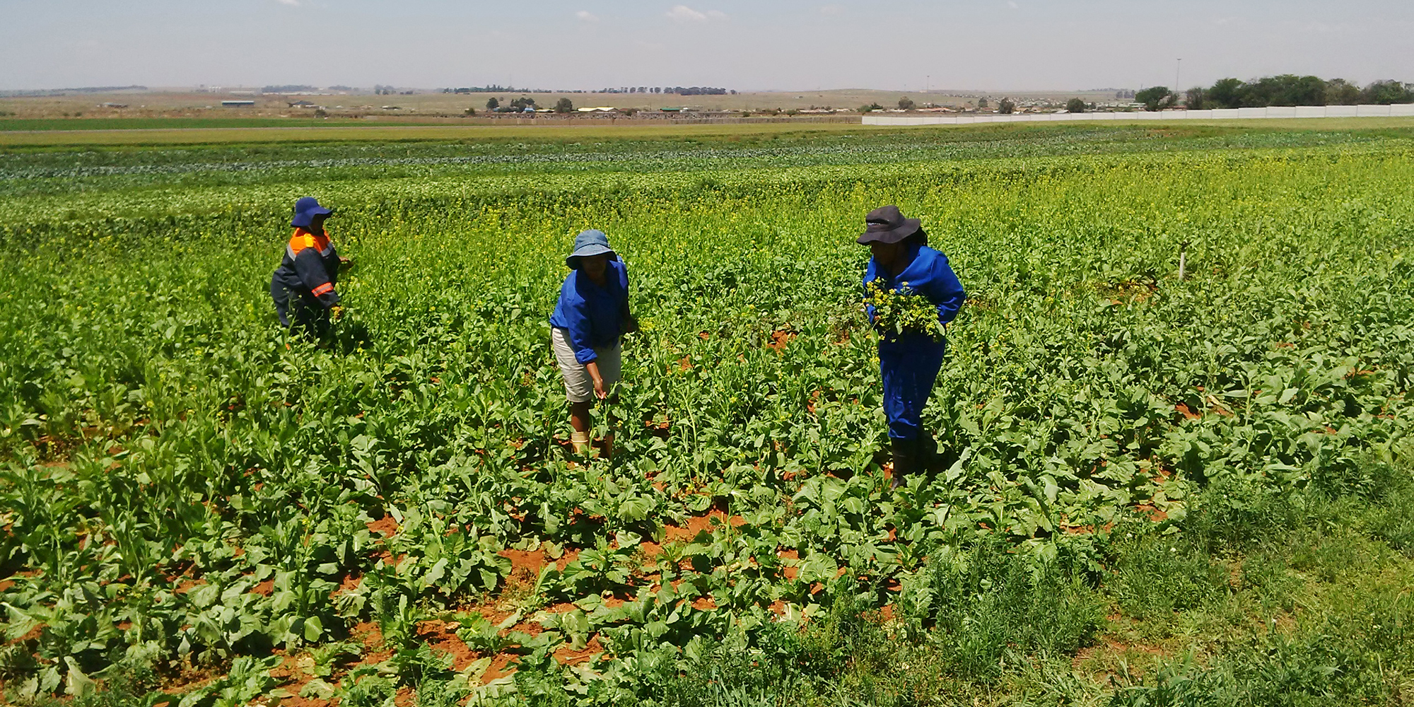 Solar cells - charities now turn to funders to keep the lights on