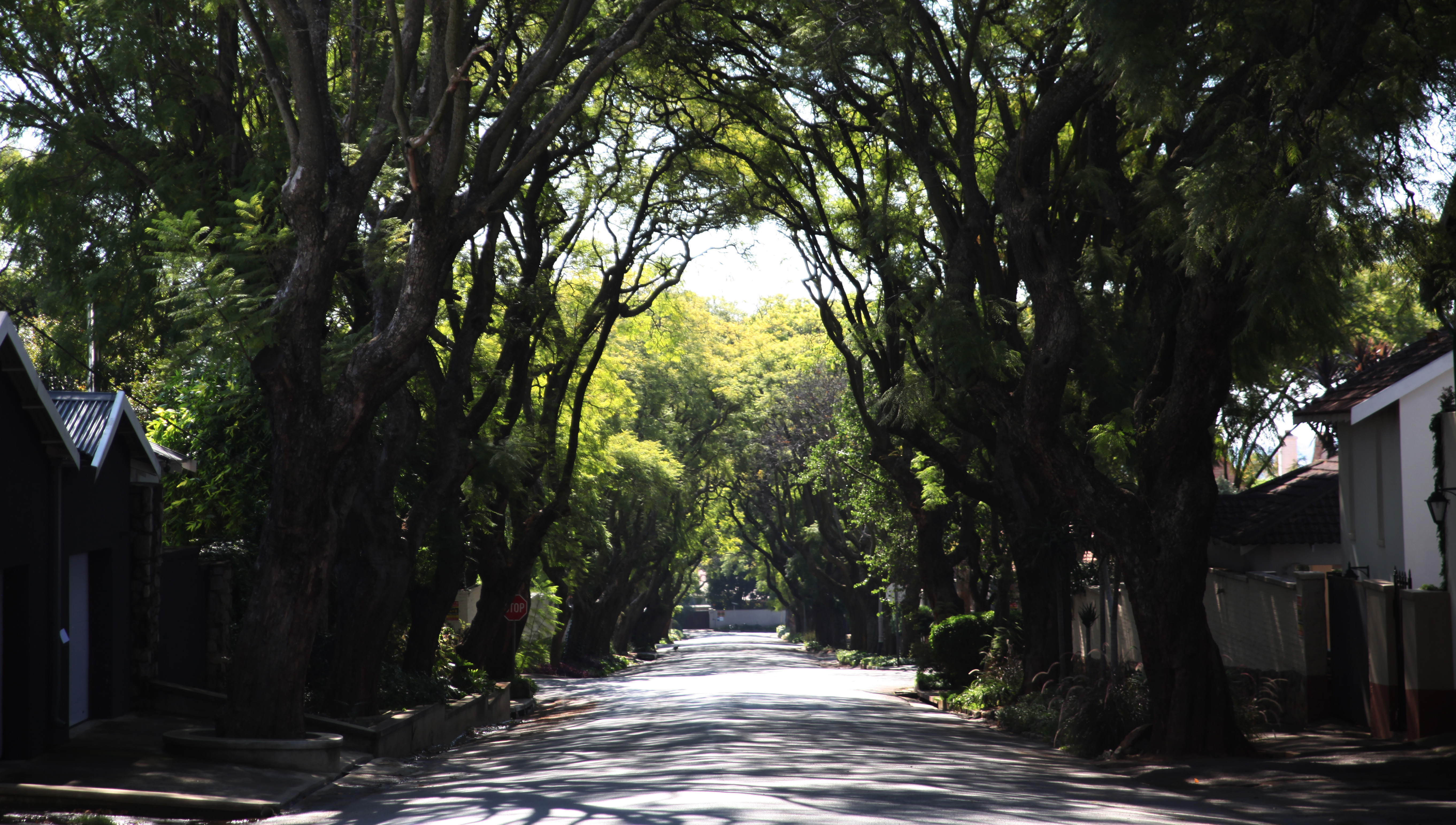 Behind the barbed wire – how soaring crime affects two very different Joburg neighbourhoods