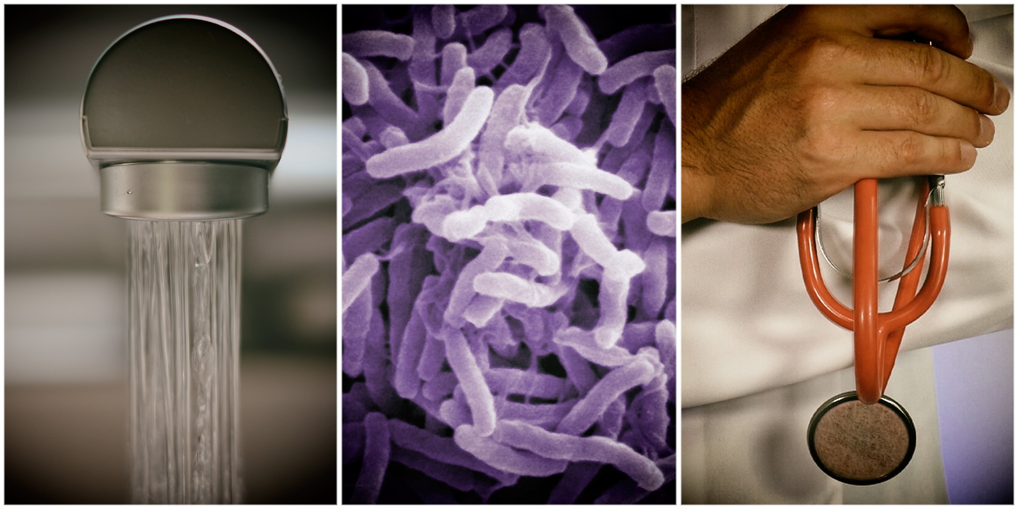 Cholera outbreak in Gauteng - what you need to know about the disease, its spread and how to stay safe