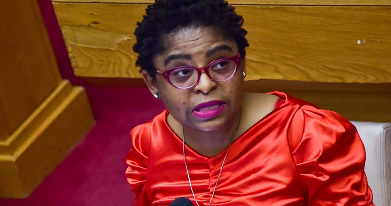 SSA as bulwark for SA security and sovereignty, says Ntshavheni — but MPs point to missing cash, tools and laws