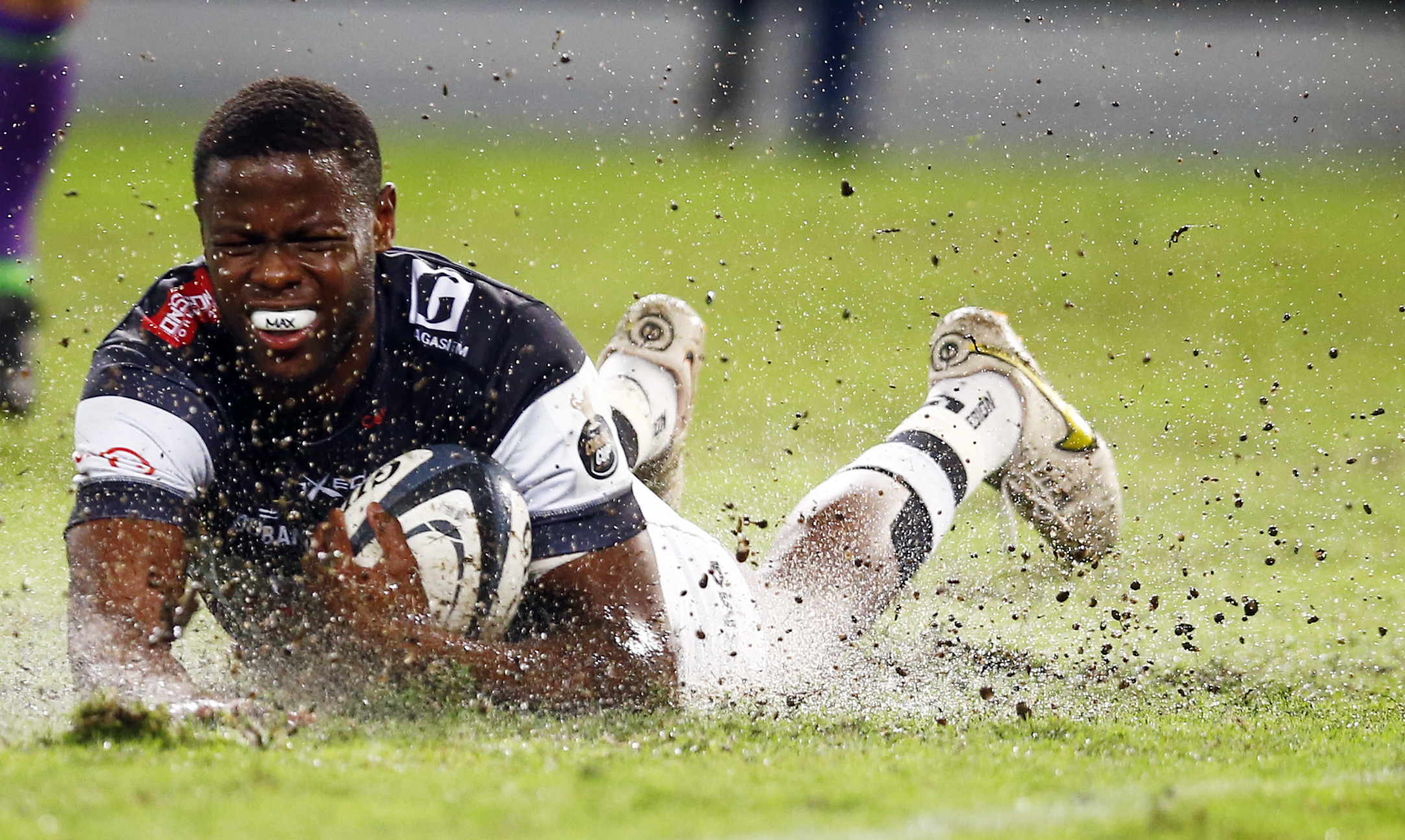 Sharks set the pace as Currie Cup semifinal spots begin to take shape