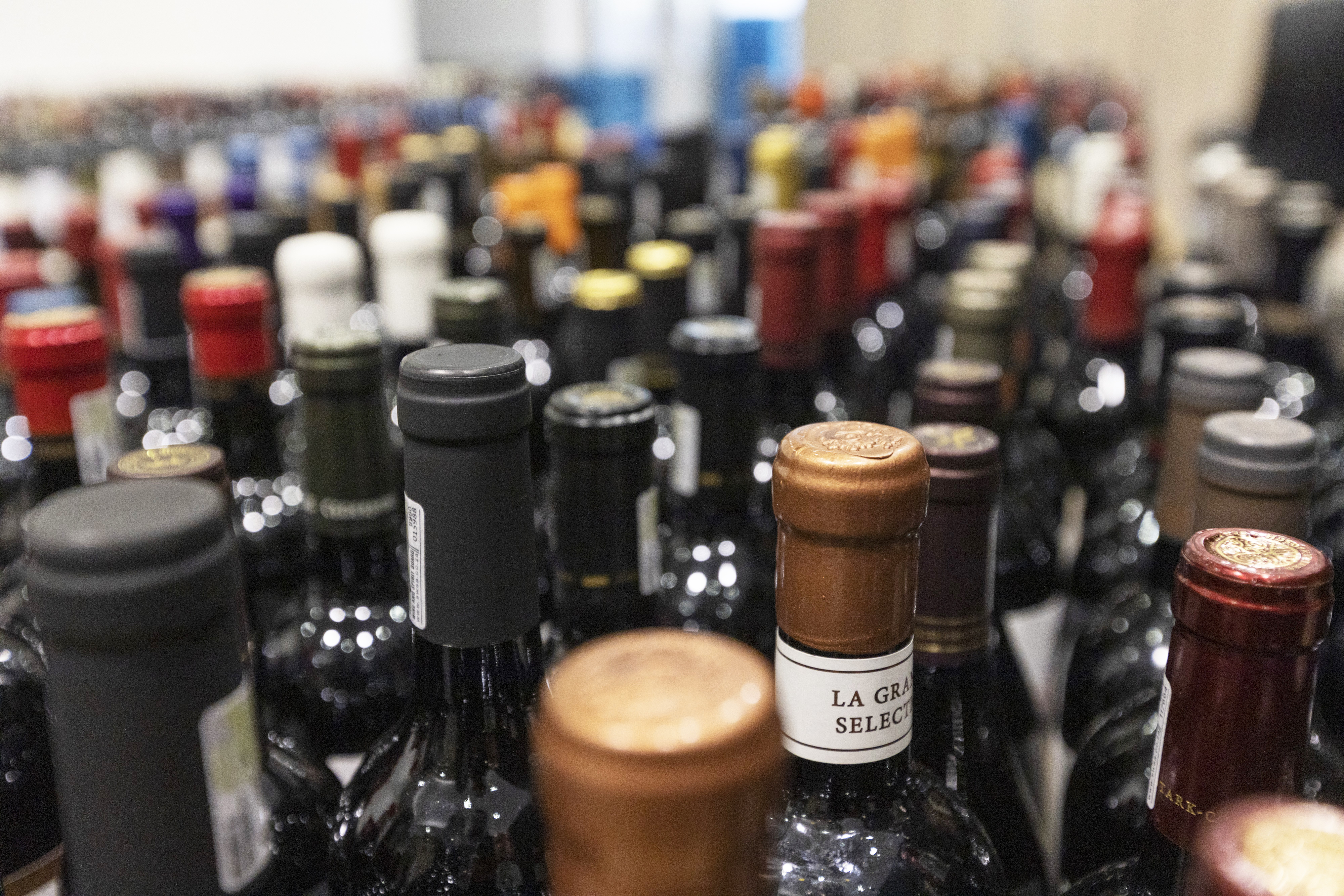 Top judges assess ‘refreshing’ wines at 2023 Trophy Wine Show