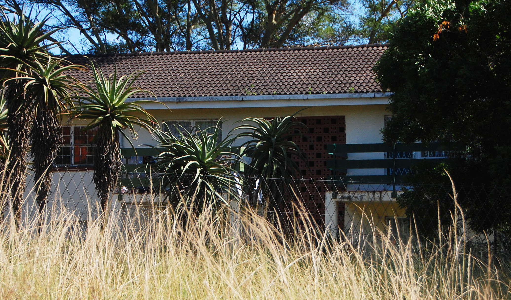 Ulundi squatters who hijacked state-owned houses 20 years ago given an ultimatum: move out or else