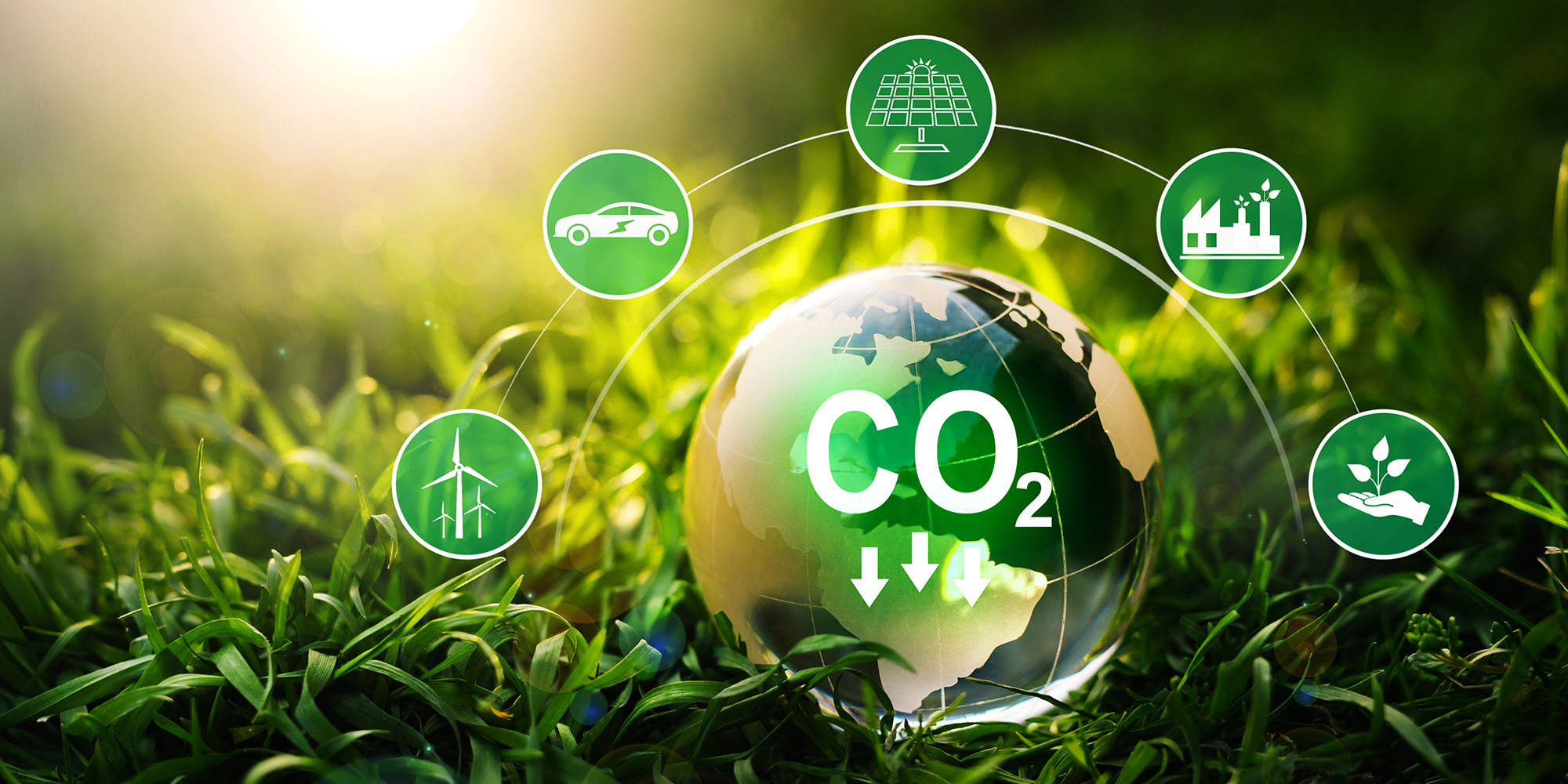 The green economy - at best, a wishful illusion; at worst, a deceptive myth