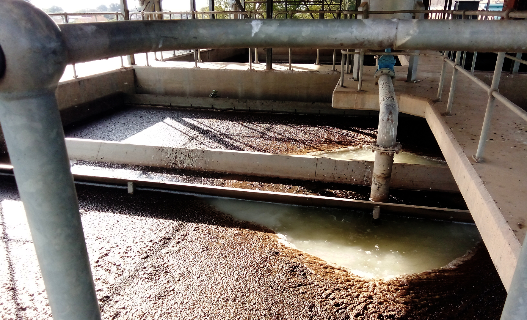 Deadly cholera outbreak in Hammanskraal was ‘just a matter of time’