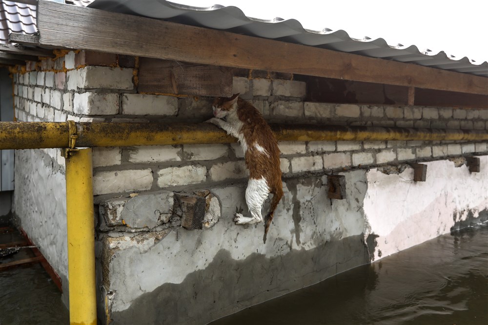 Flood evacuations in Kherson, and more from around the world