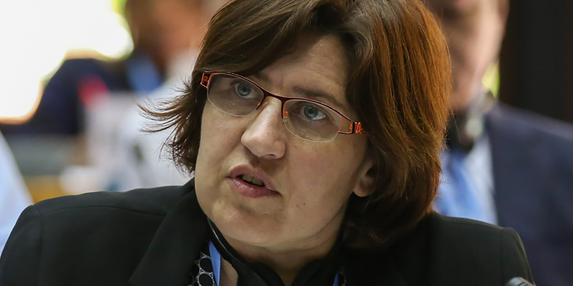 IPCC co-chair lifts the ‘Ice Curtain’ at Antarctic climate meeting in Finland