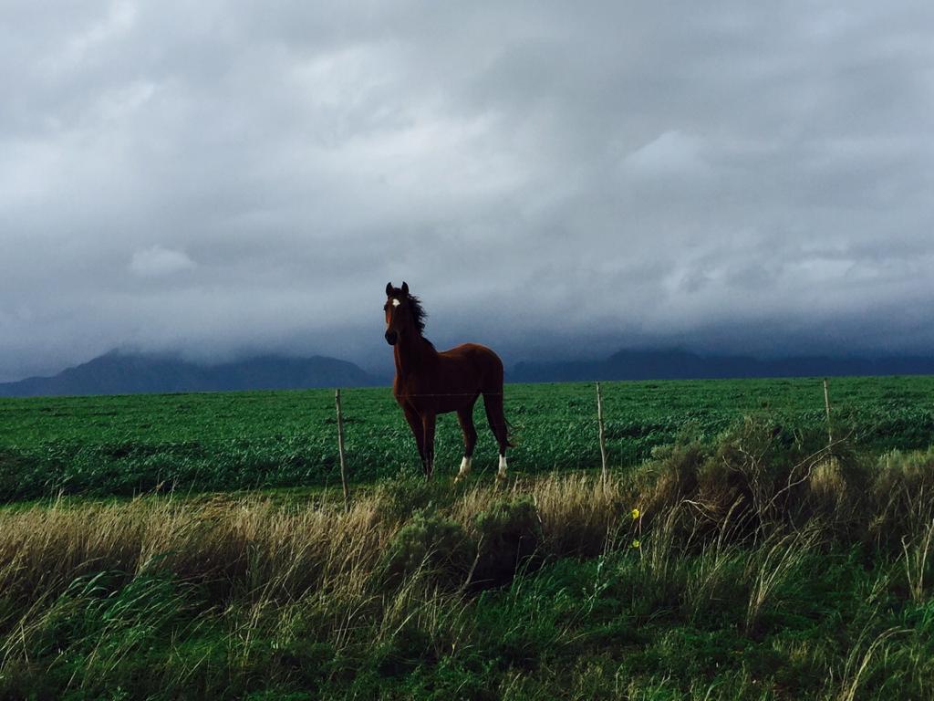 P4U_readersubmission_20230630