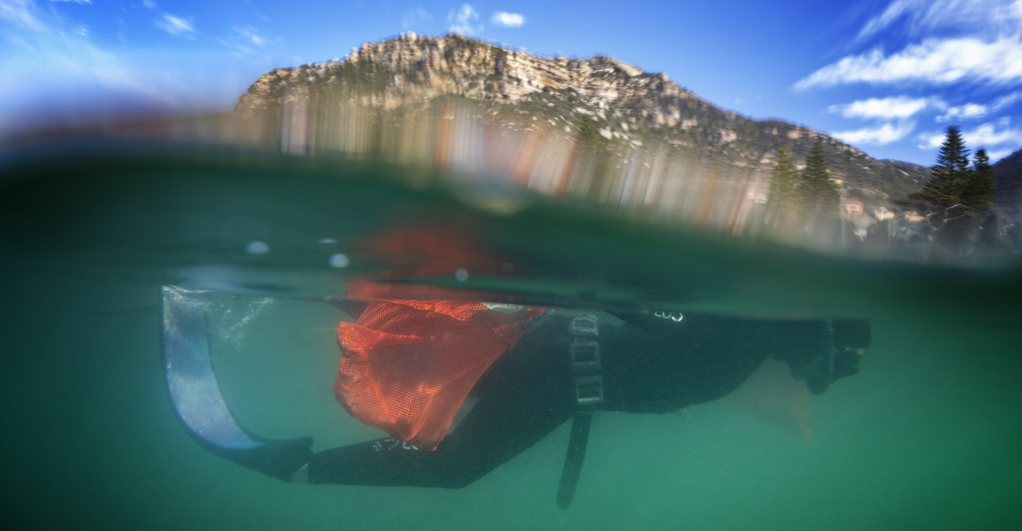 Reversing the tide — it’s not too late to save our marine resources