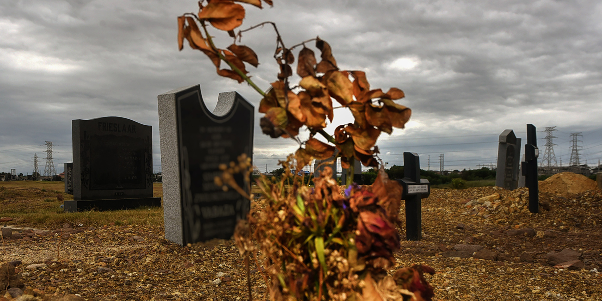 Discovery recorded the most deaths in its history in 2021 – but figures are back to normal