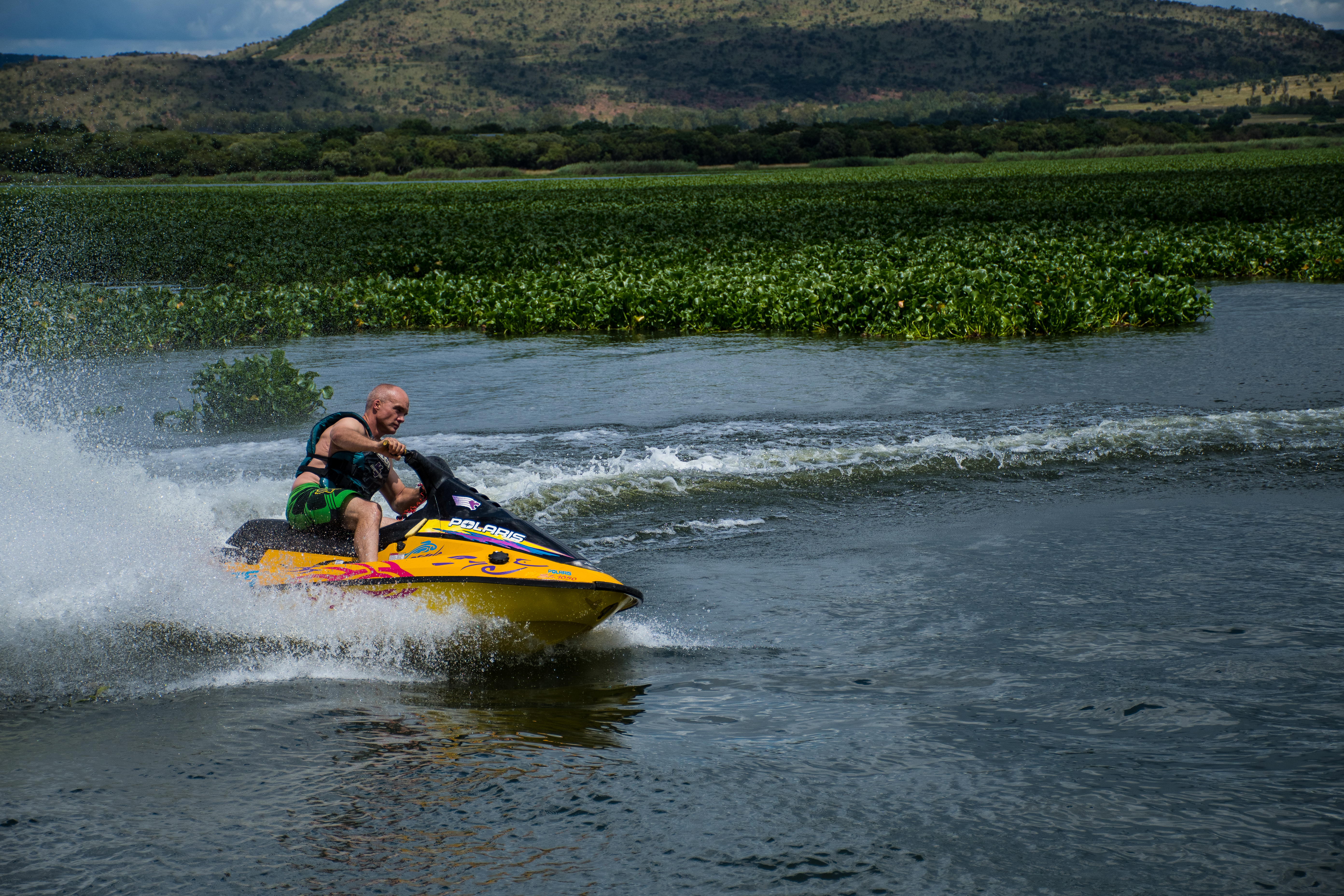 Harties vs the hyacinth (Part 2) – Rampant growth of the weed is choking everything in its path, including businesses
