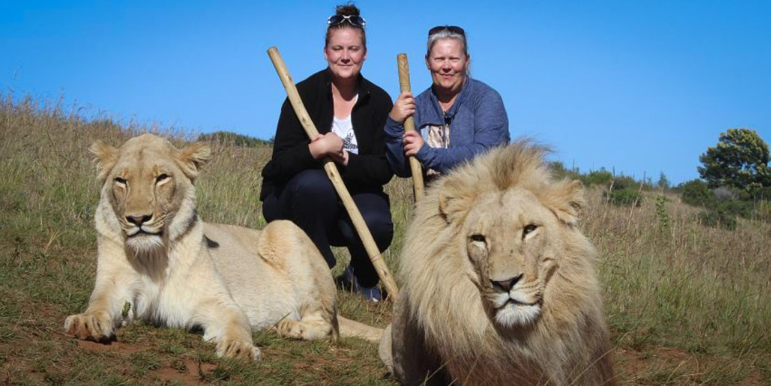 Poorly supervised captive carnivores in South Africa are killing people