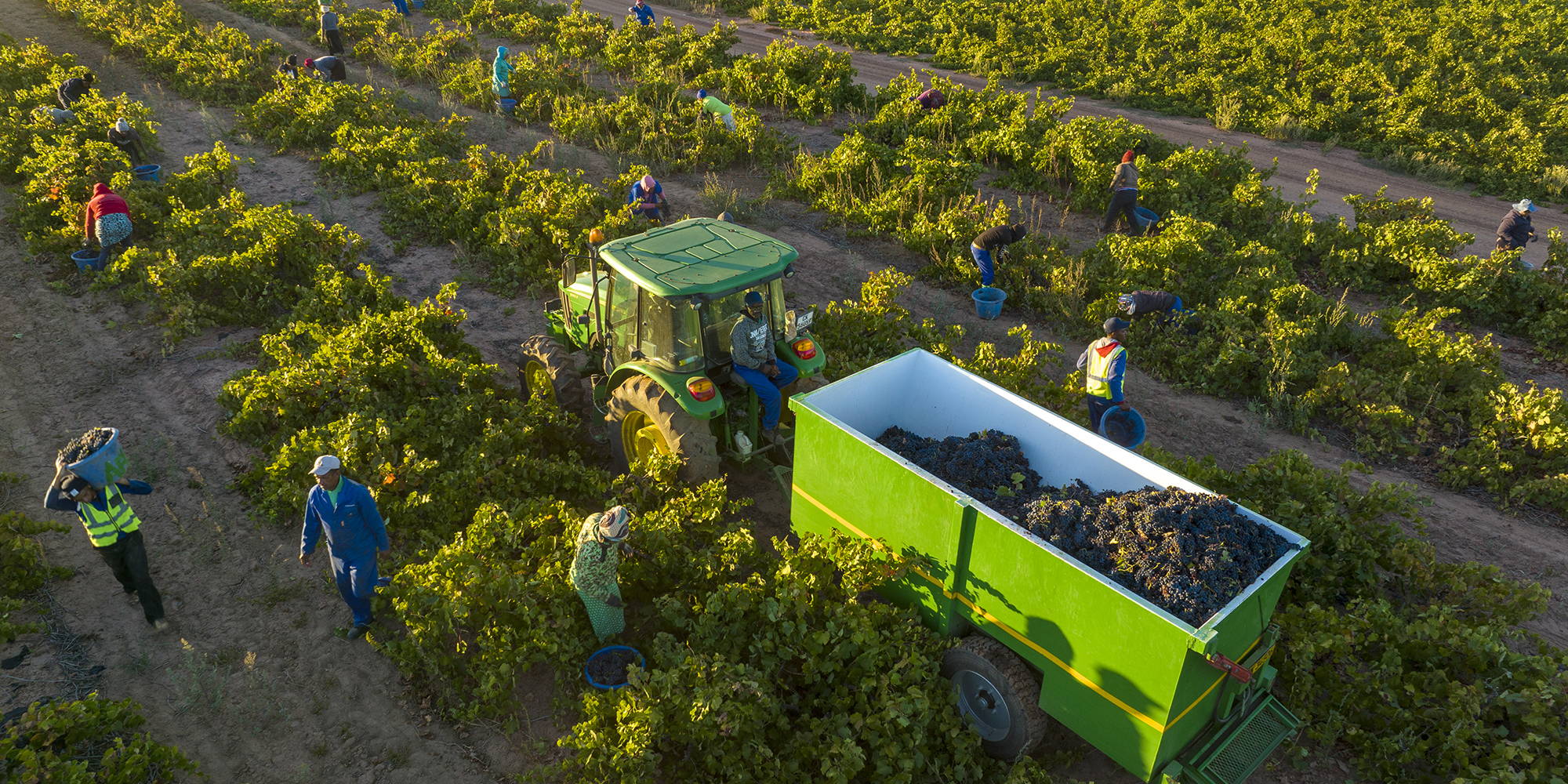 SA tractor sales slow from high base while El Niño looms, but combine harvester sales remain brisk