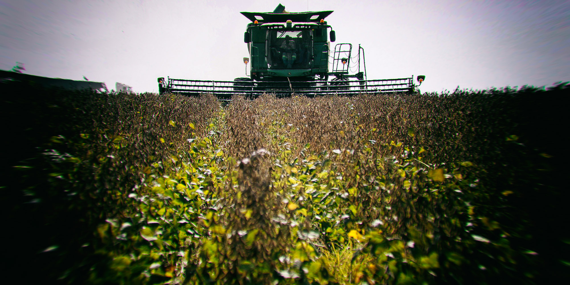 Farmers lose confidence amid more pain for SA’s agricultural sector