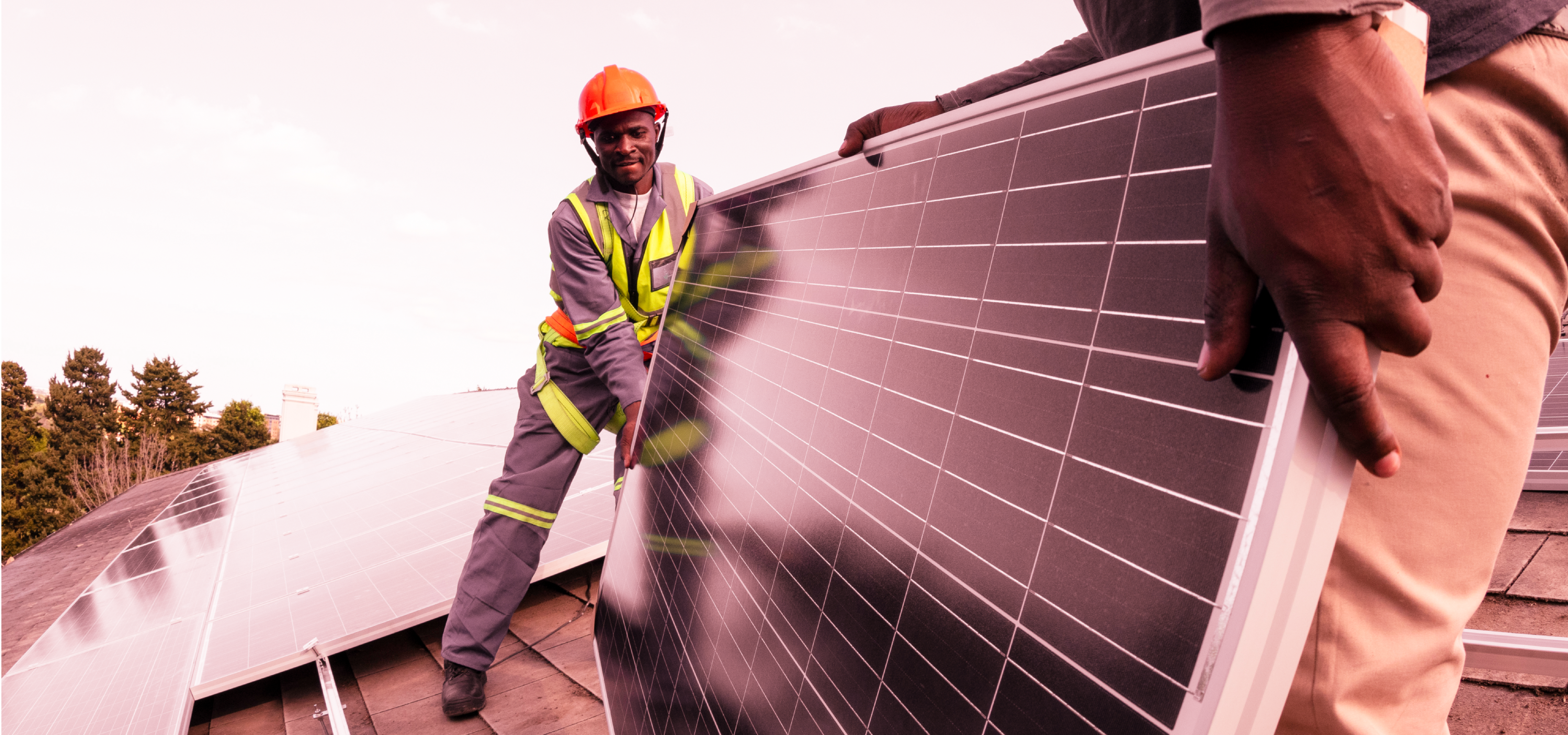 #NetZero: how a bank manages its carbon footprint