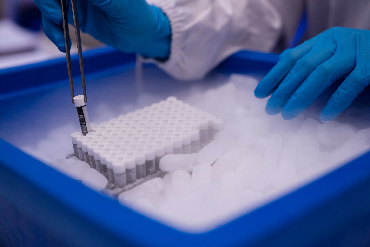 In-depth – what it means to build genomics capacity in Africa