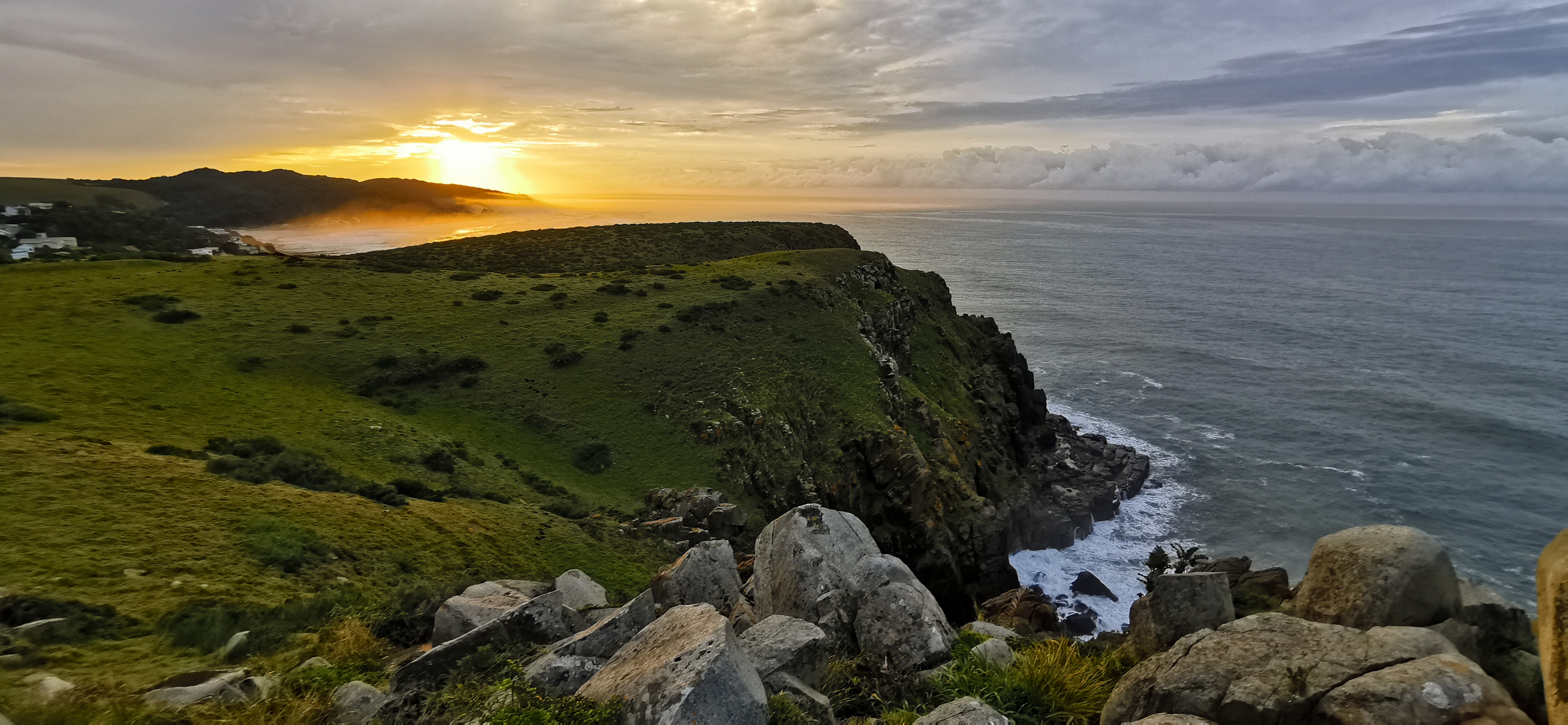 P4U_reader submission_060123