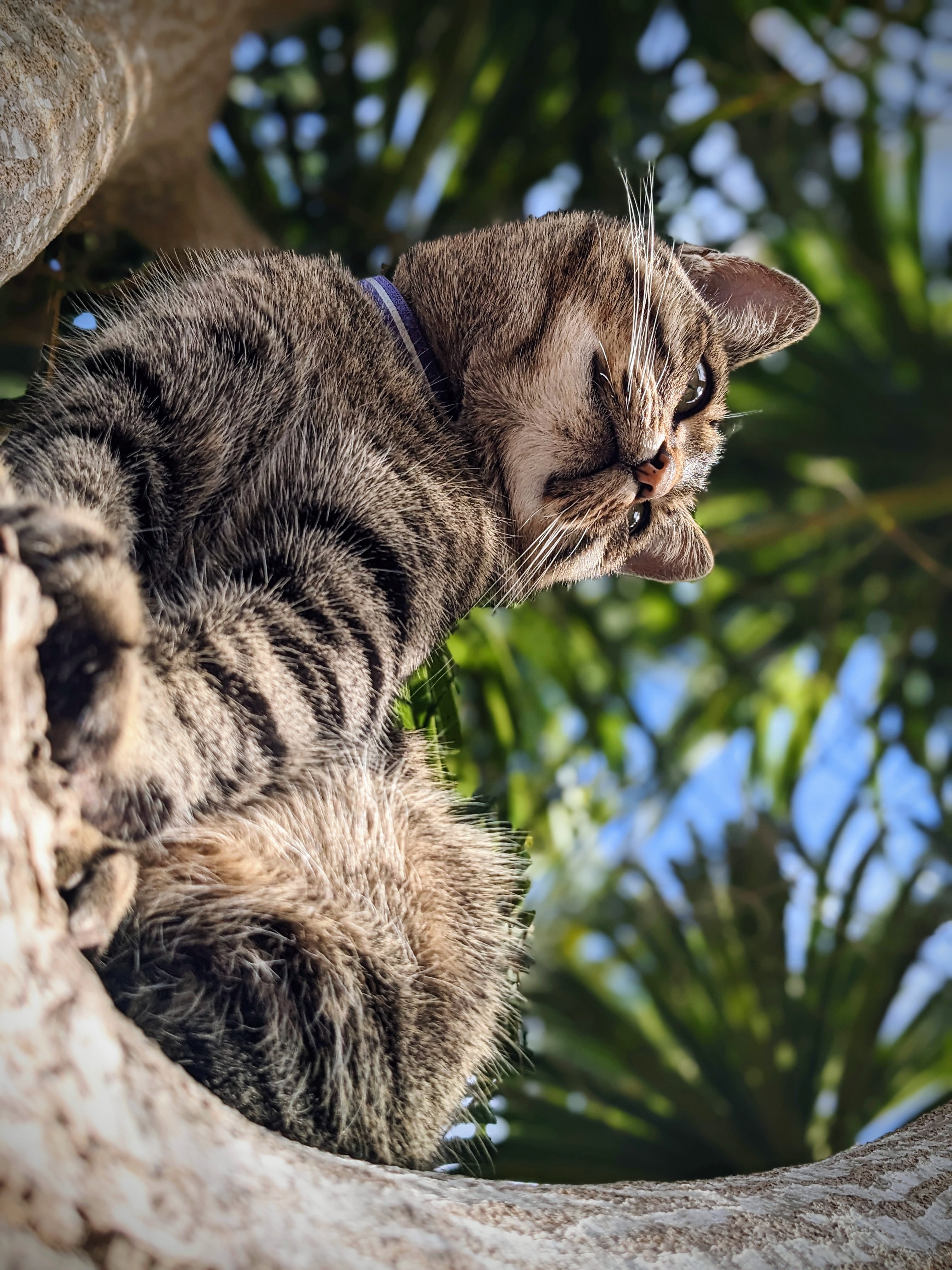 P4U_readersubmission_20230604