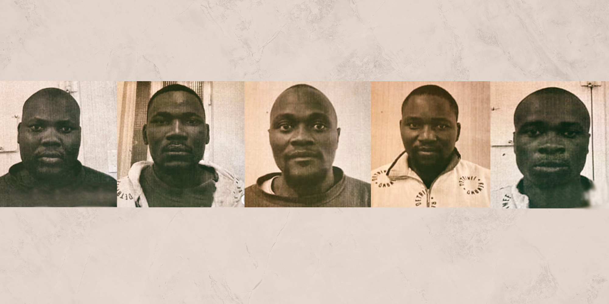 Hefty sentences for rhino poachers after new wildlife trafficking strategy starts to bite