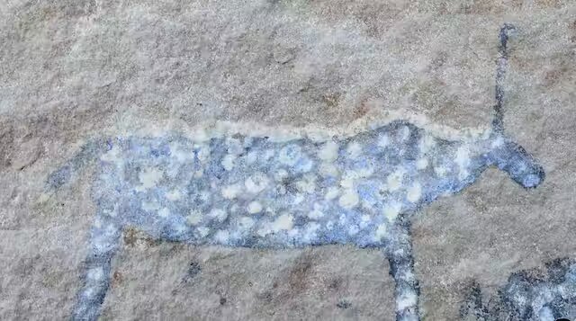 Unicorns in southern Africa - the fascinating story behind one-horned creatures in rock art
