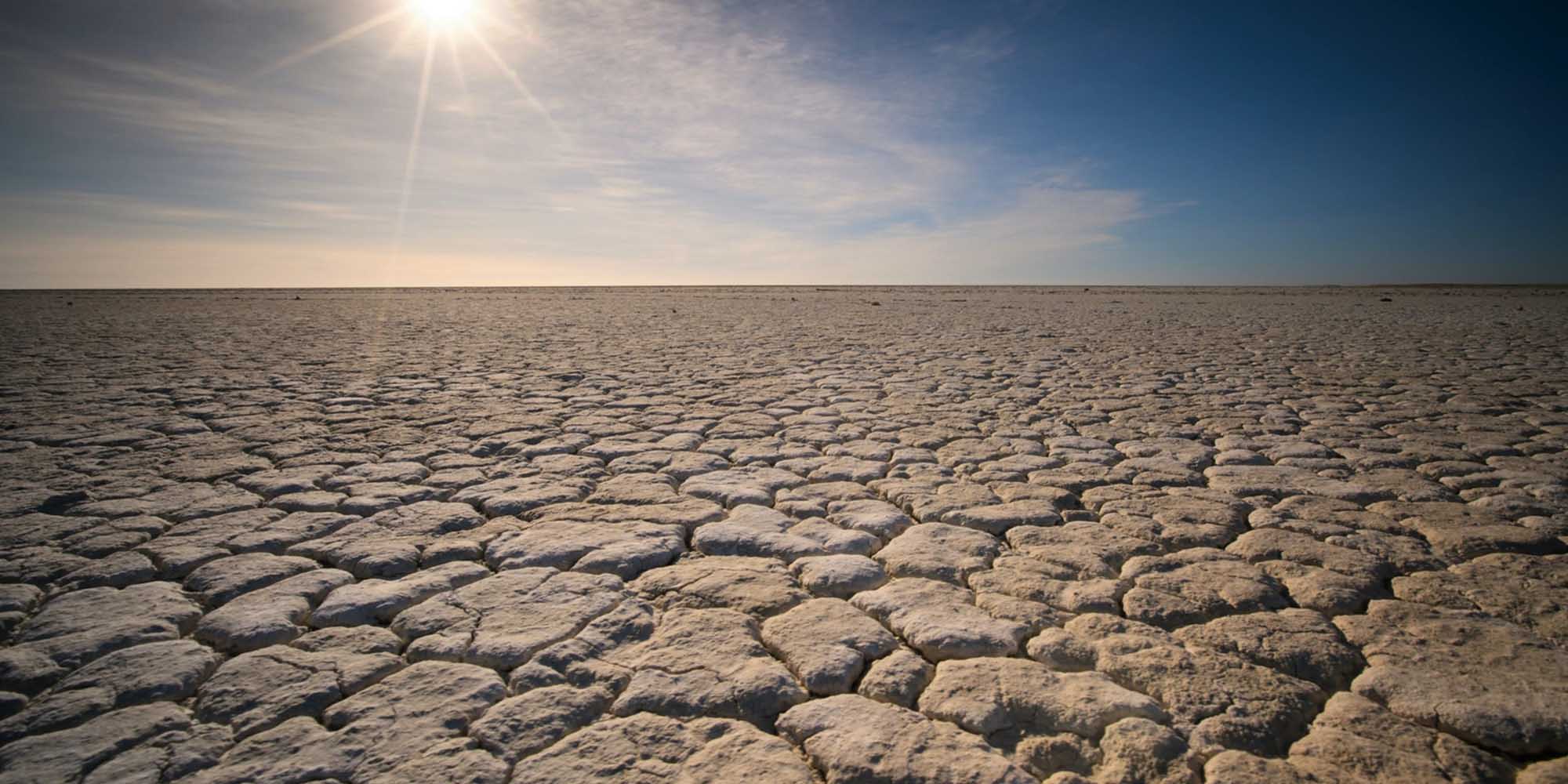 Weather experts issue alert over looming El Niño as sea surface temperatures hit record highs