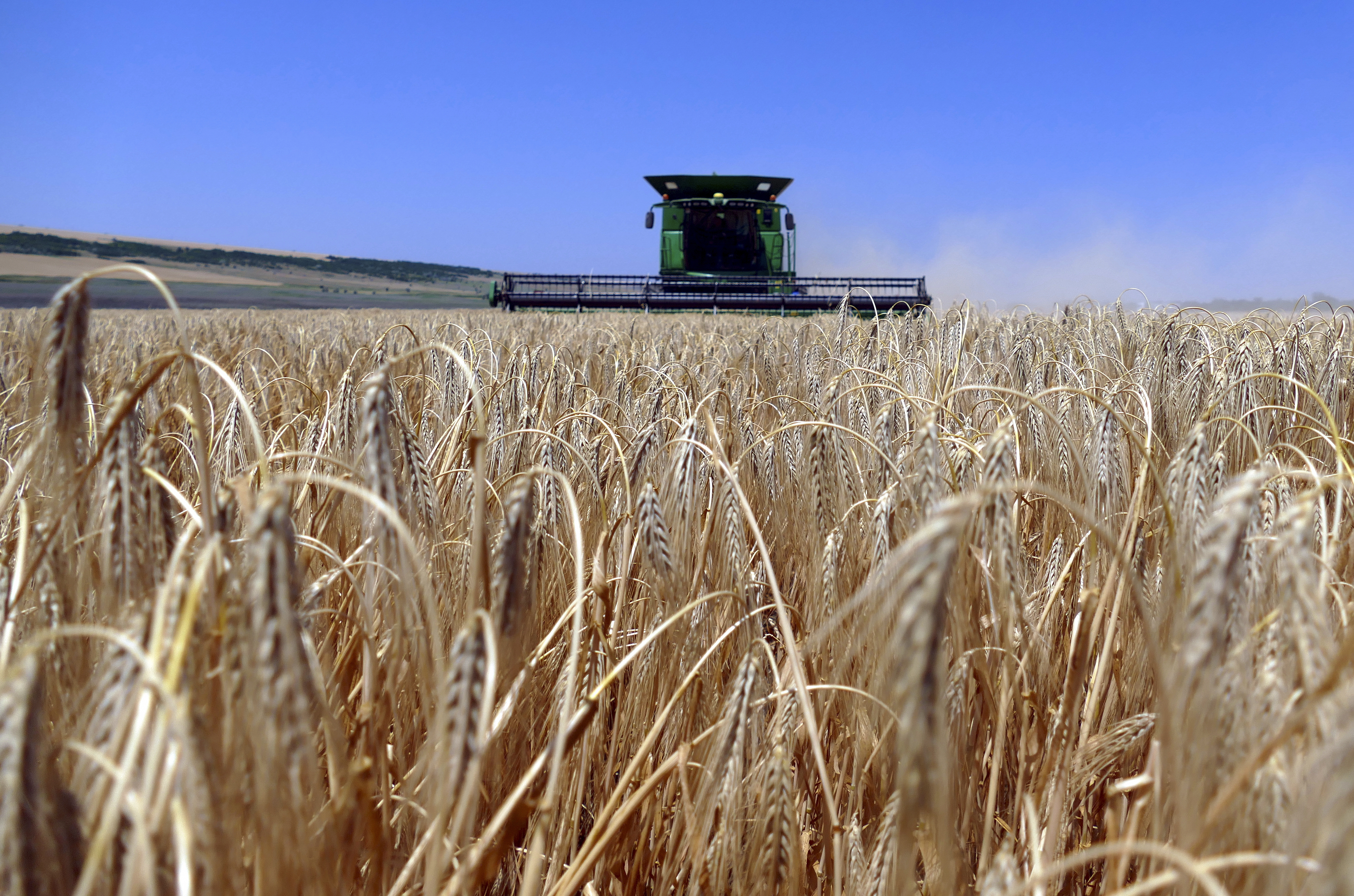 Russian Attack Highlights Risk to Ukraine’s Last Grain Export Route
