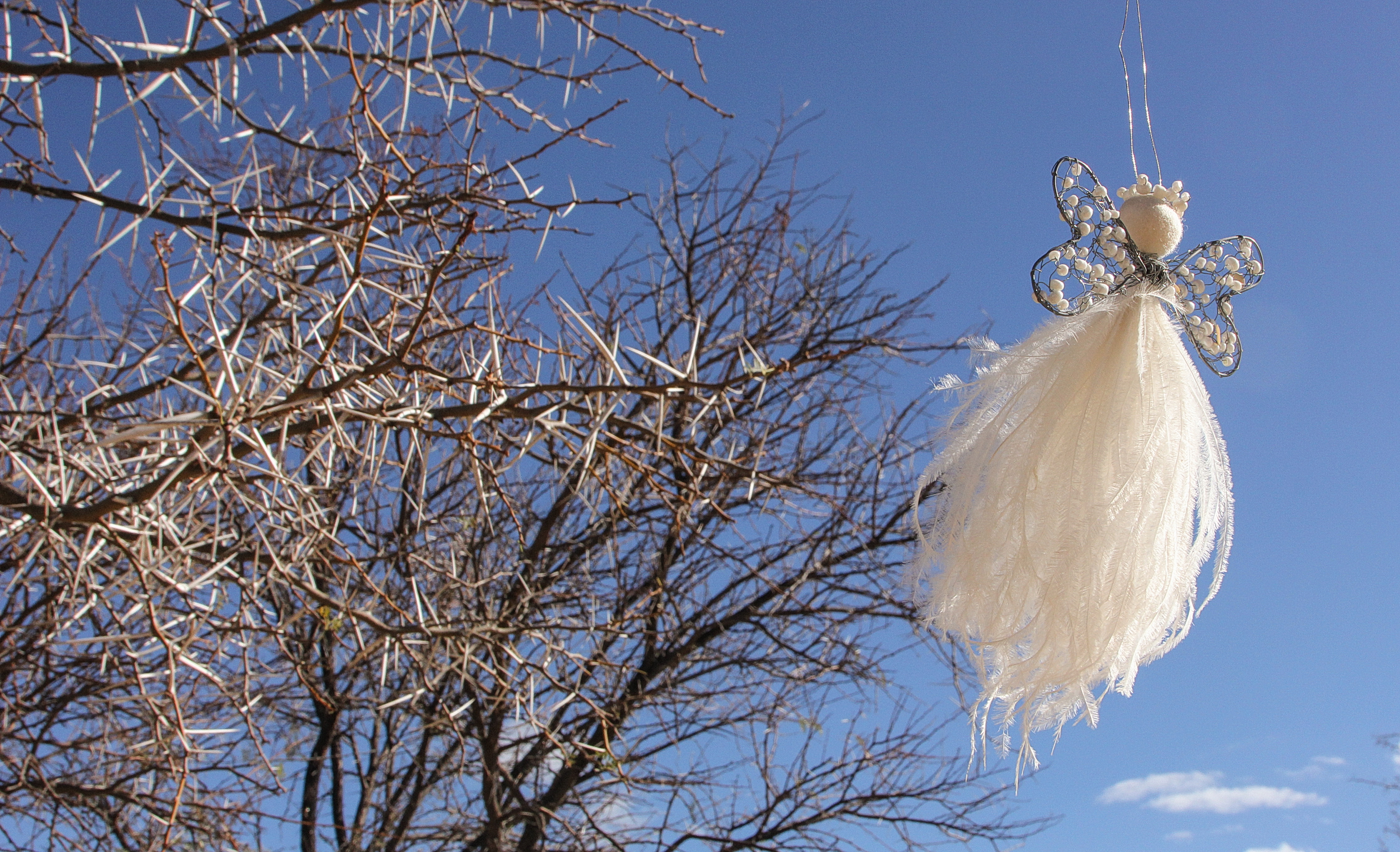 There’s an angel factory in the Karoo