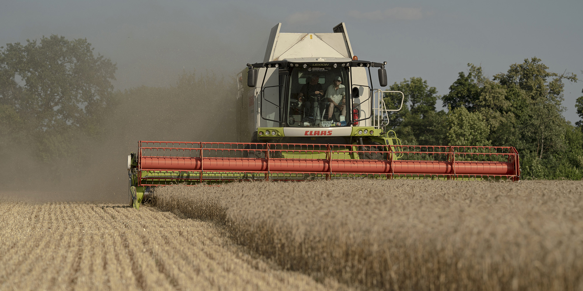 Global grain supplies are ample, but we must watch India and Russia