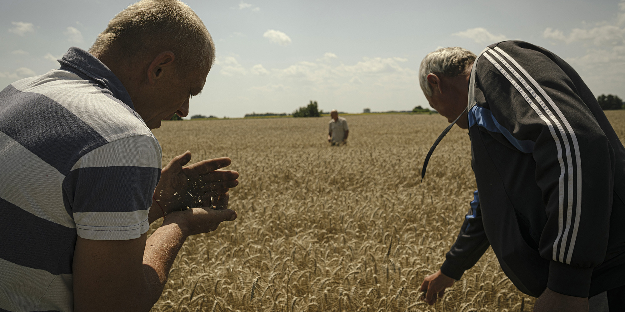 South Africa seeks to persuade Russia to revive grain deal