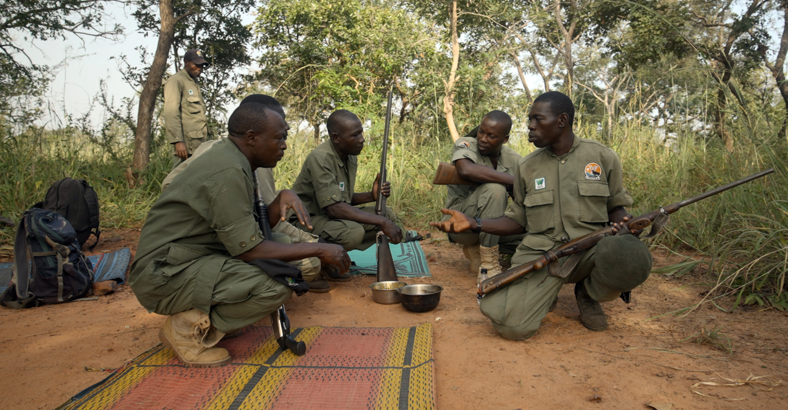 Rangers safeguard few remaining animals in Nigerian game reserve in battle against illegal wildlife trade