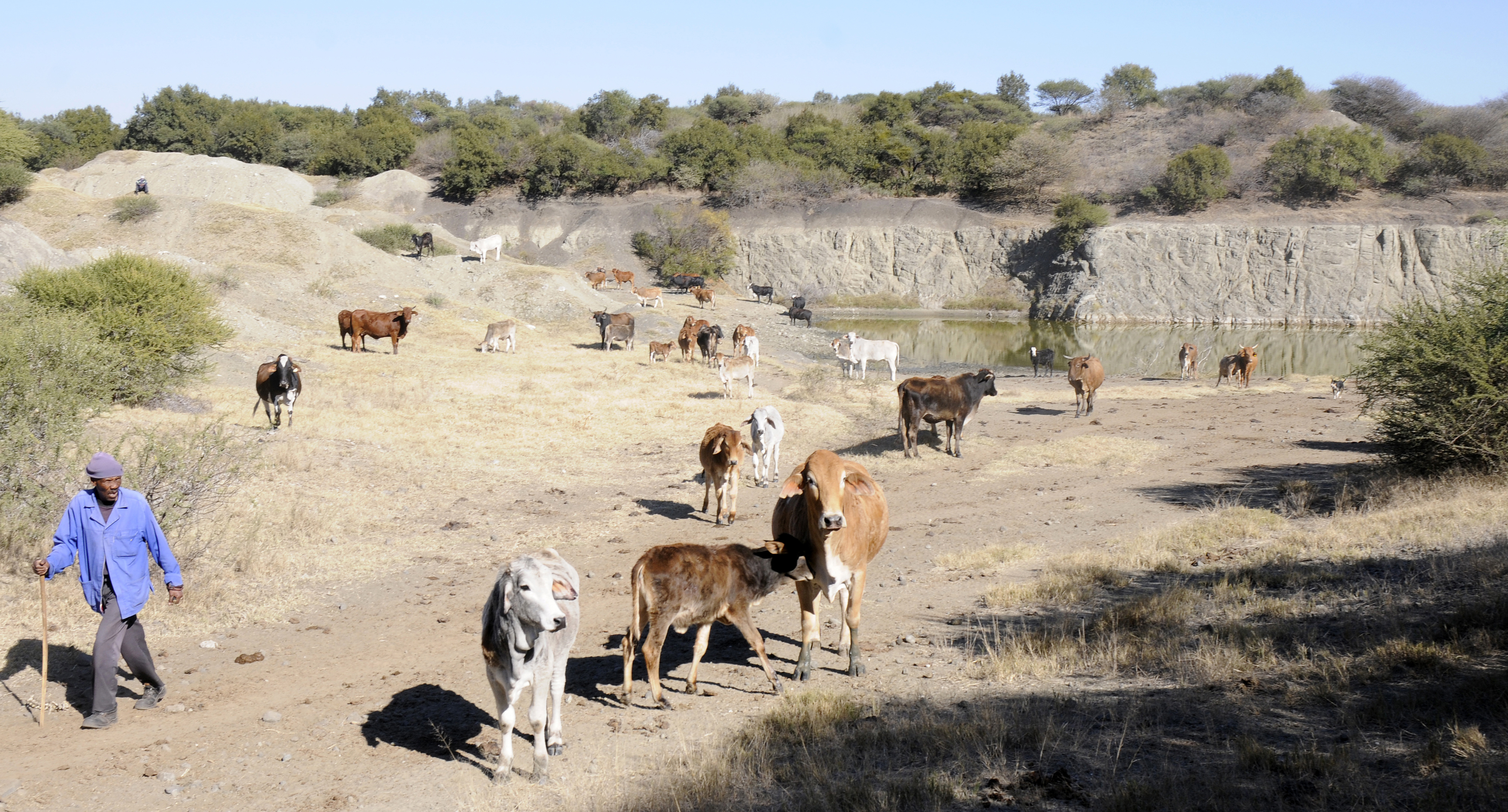 Lone lawyer takes on the State in quest for justice for North West villagers