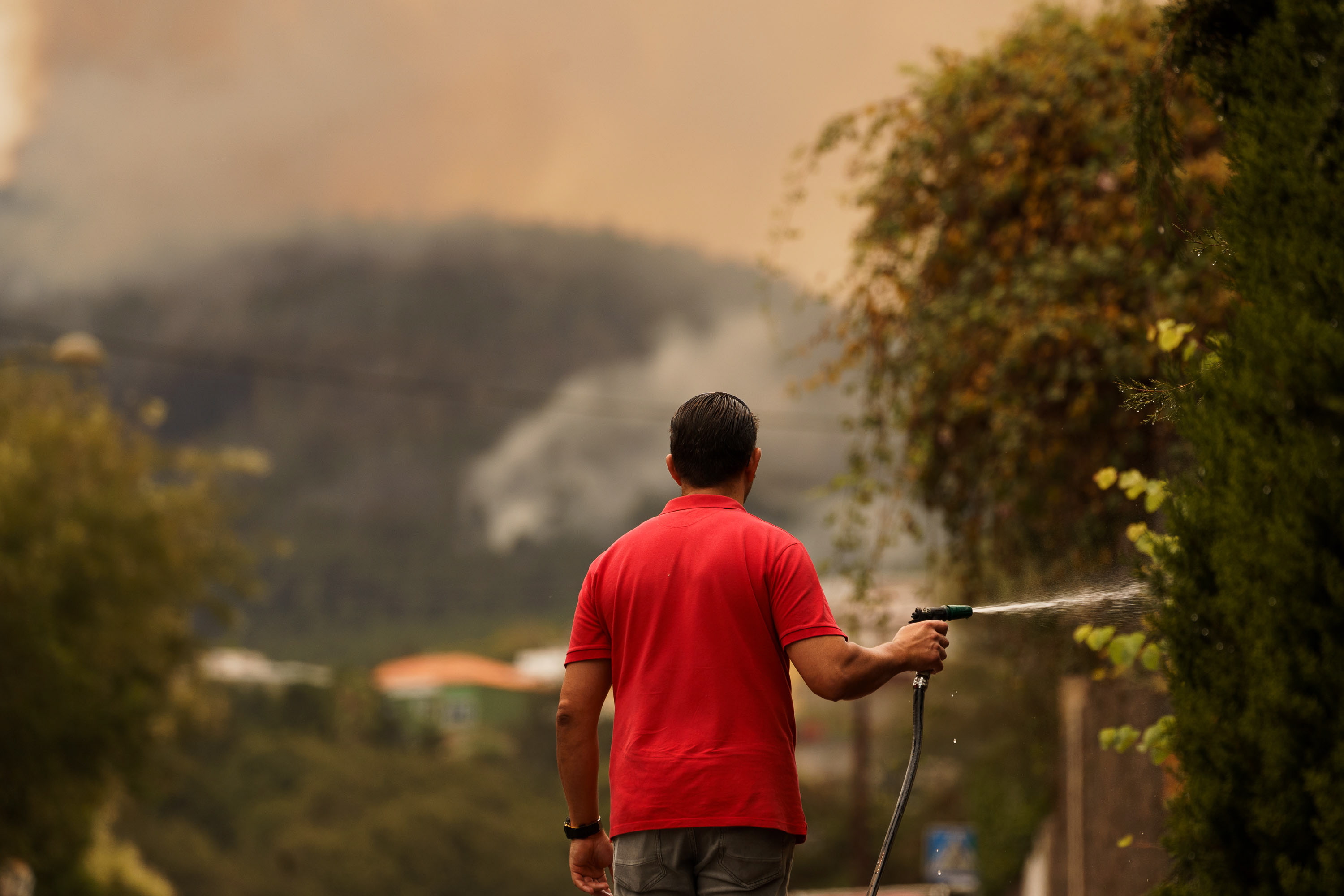 Wildfire in Tenerife continue to burn and forces evacuations