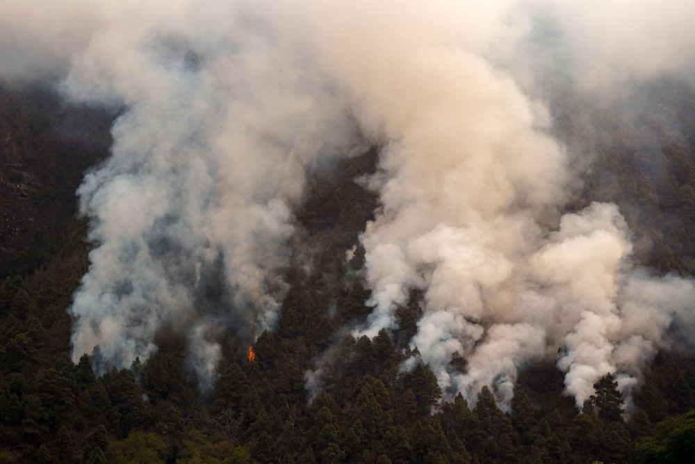 Active wildfire in Tenerife prompts evacuations