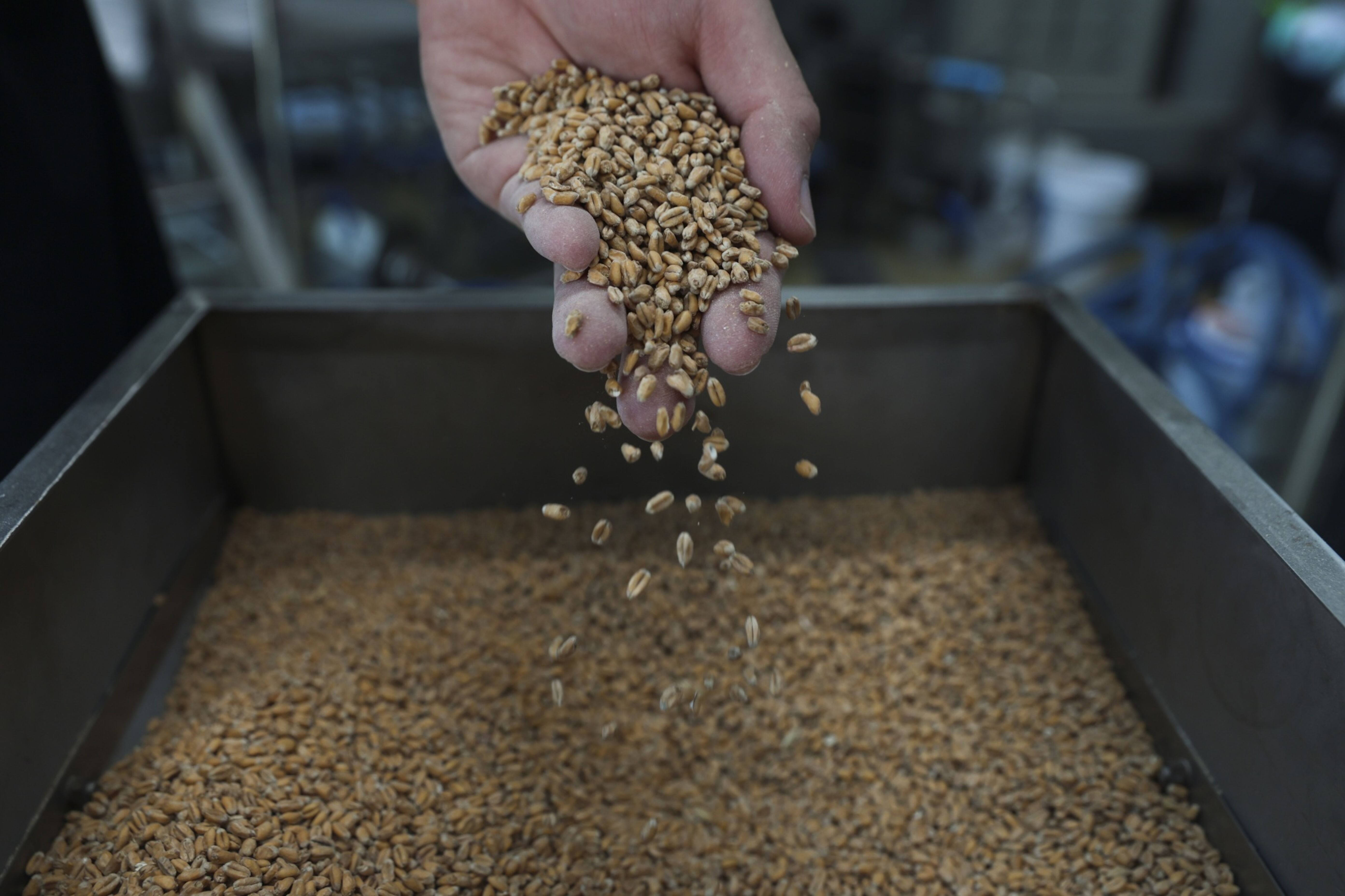 Operations Inside a Thai Craft Beer Facility