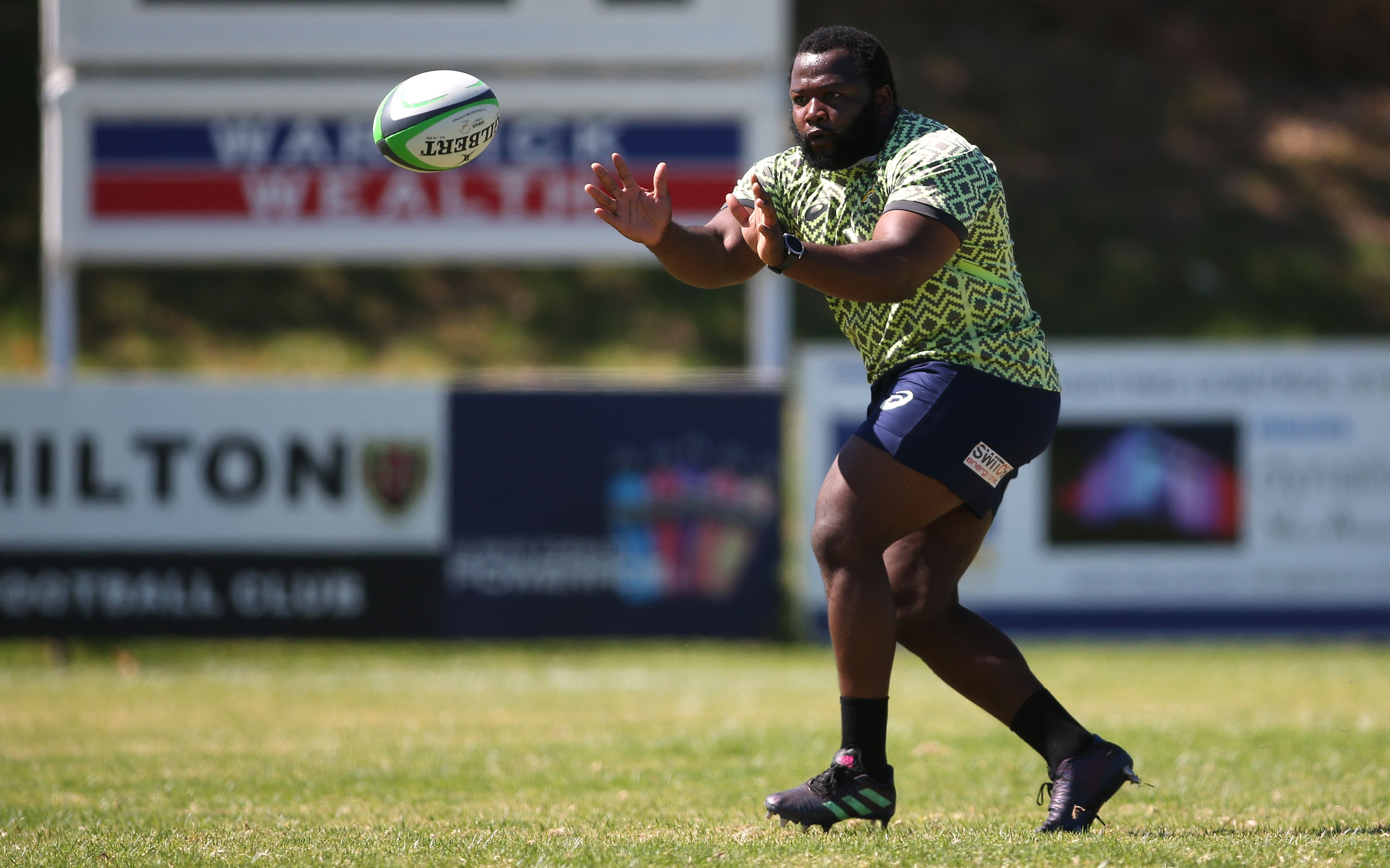 Boks have most Rugby World Cup bases covered, but composition of the final squad is far from settled