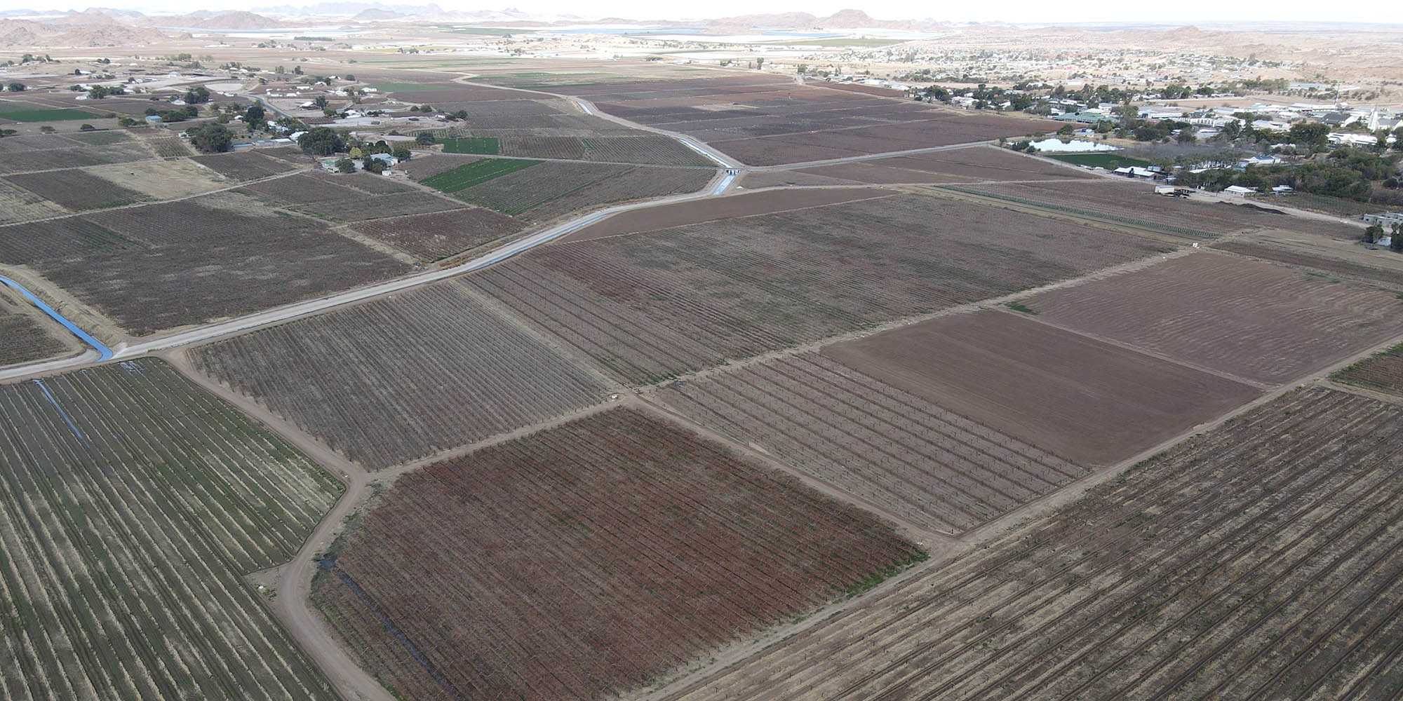 How rising temperatures threaten farmworkers in Northern Cape, South Africa’s sunniest province