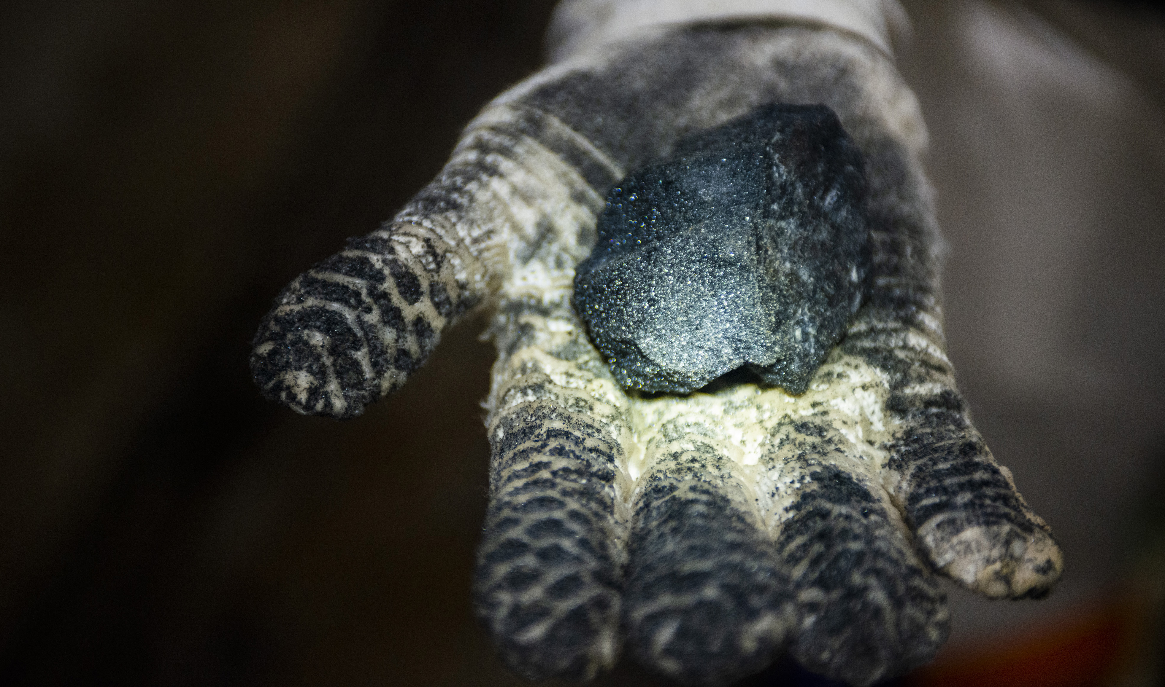 Short-term uncertainty but long-term outlook for PGM prices seen brightening, say CEOs