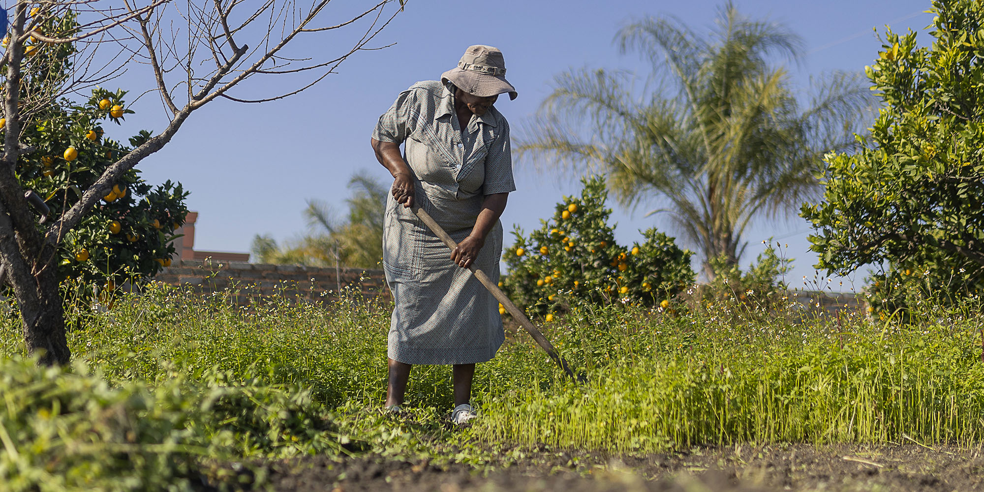 Government and Land Bank launch funding initiative to provide alternative power solutions for farmers