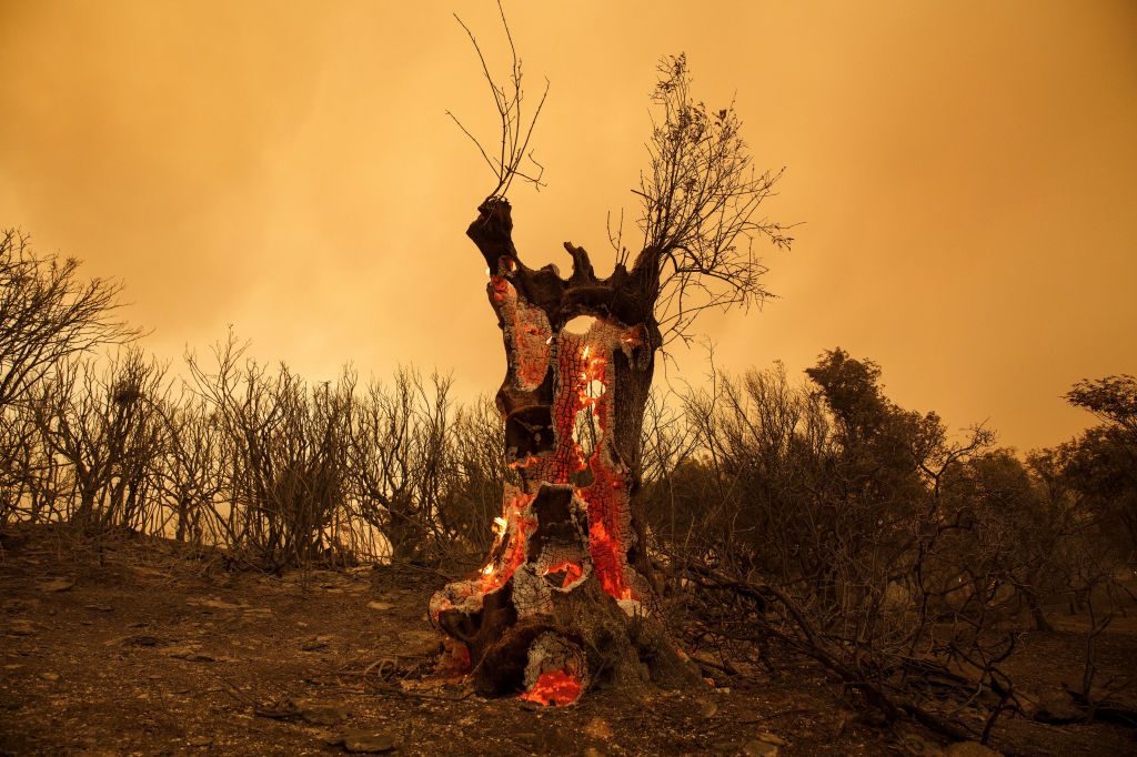 Greece fights wildfires as heat blankets southern Europe, and more from around the world