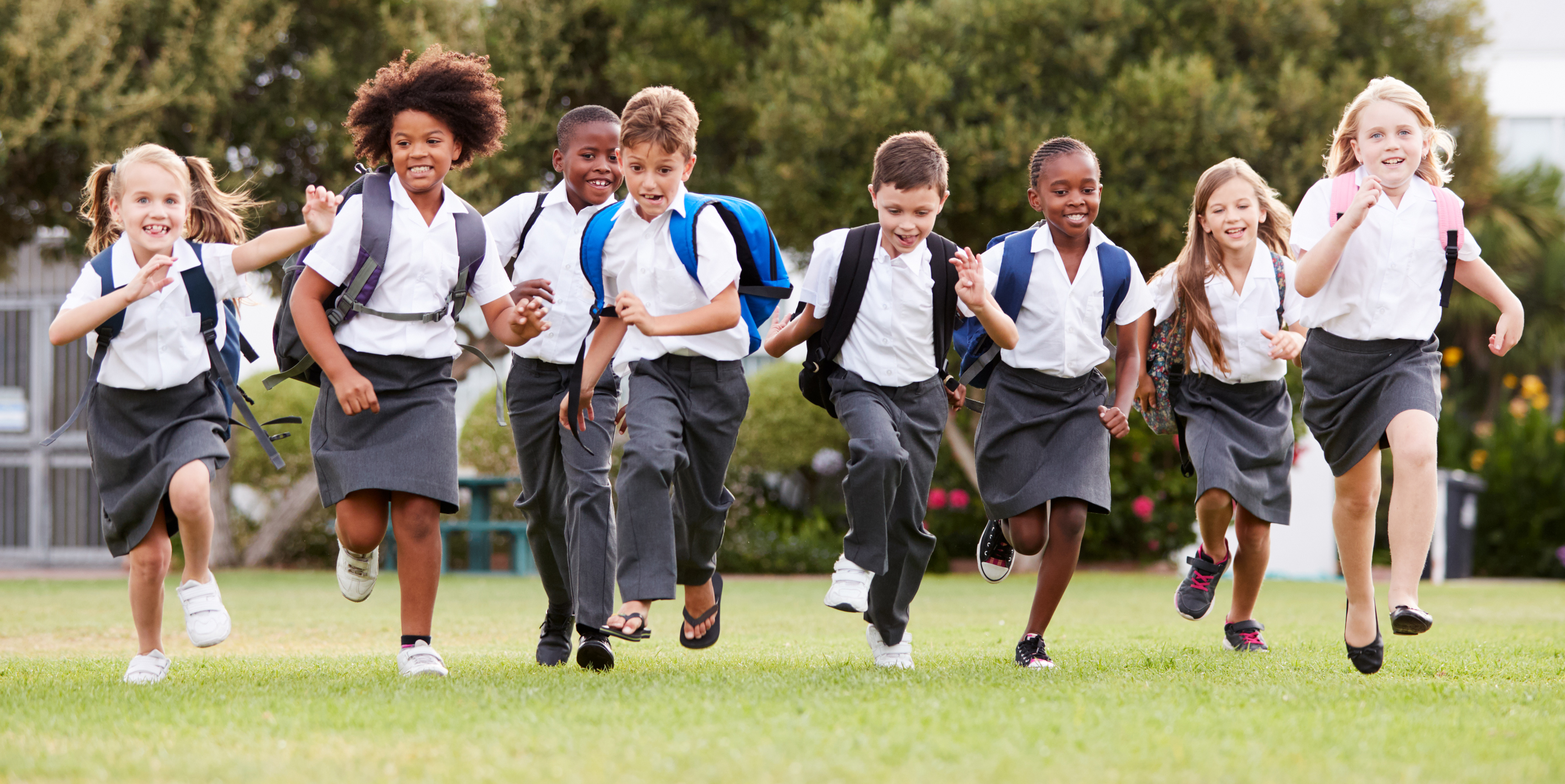 Six years in the making, support builds for global set of principles on human rights of the future