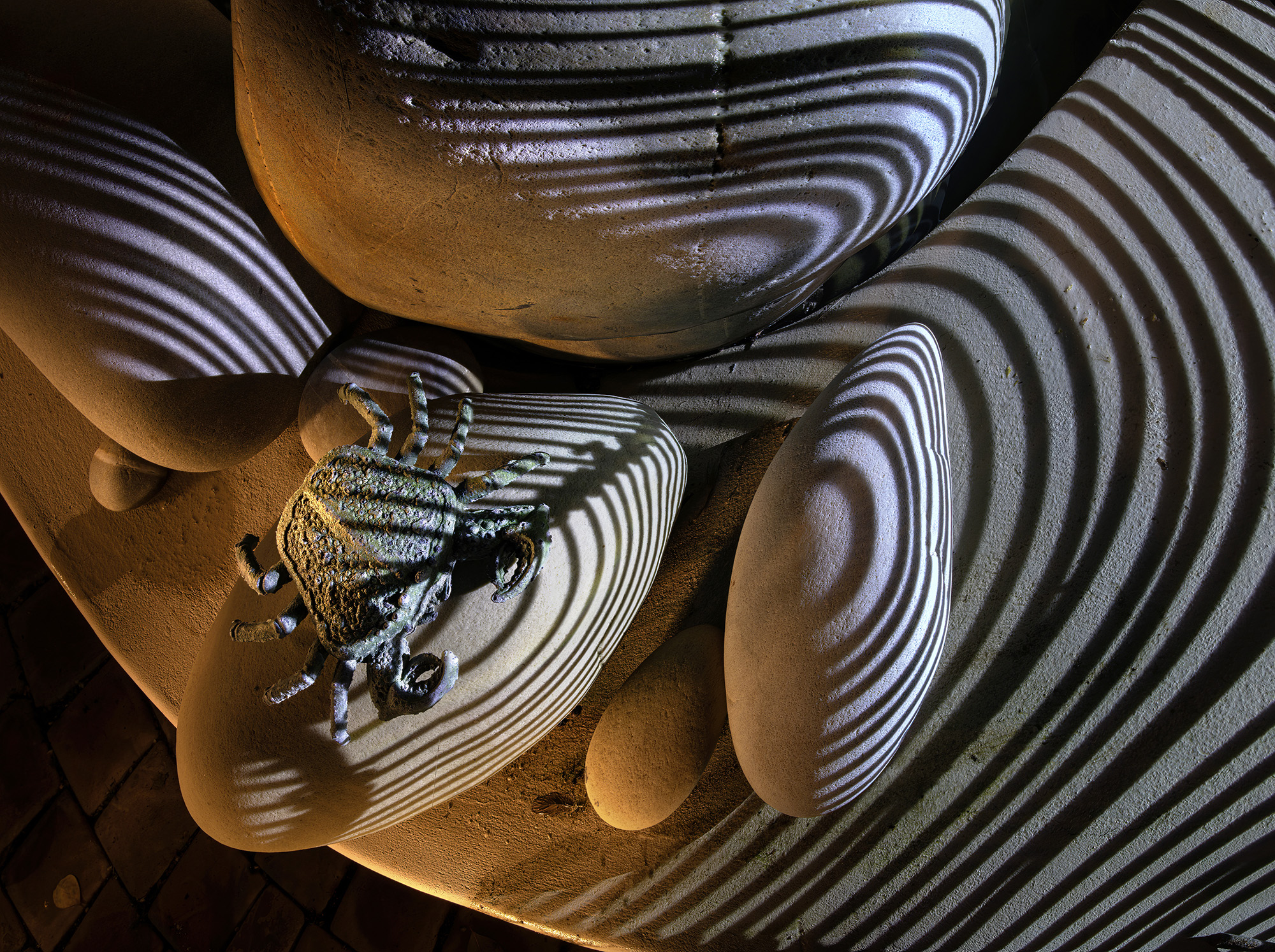 An addict of sight lurks in the Covid night – this is 2020 South Africa through a lockdown lens