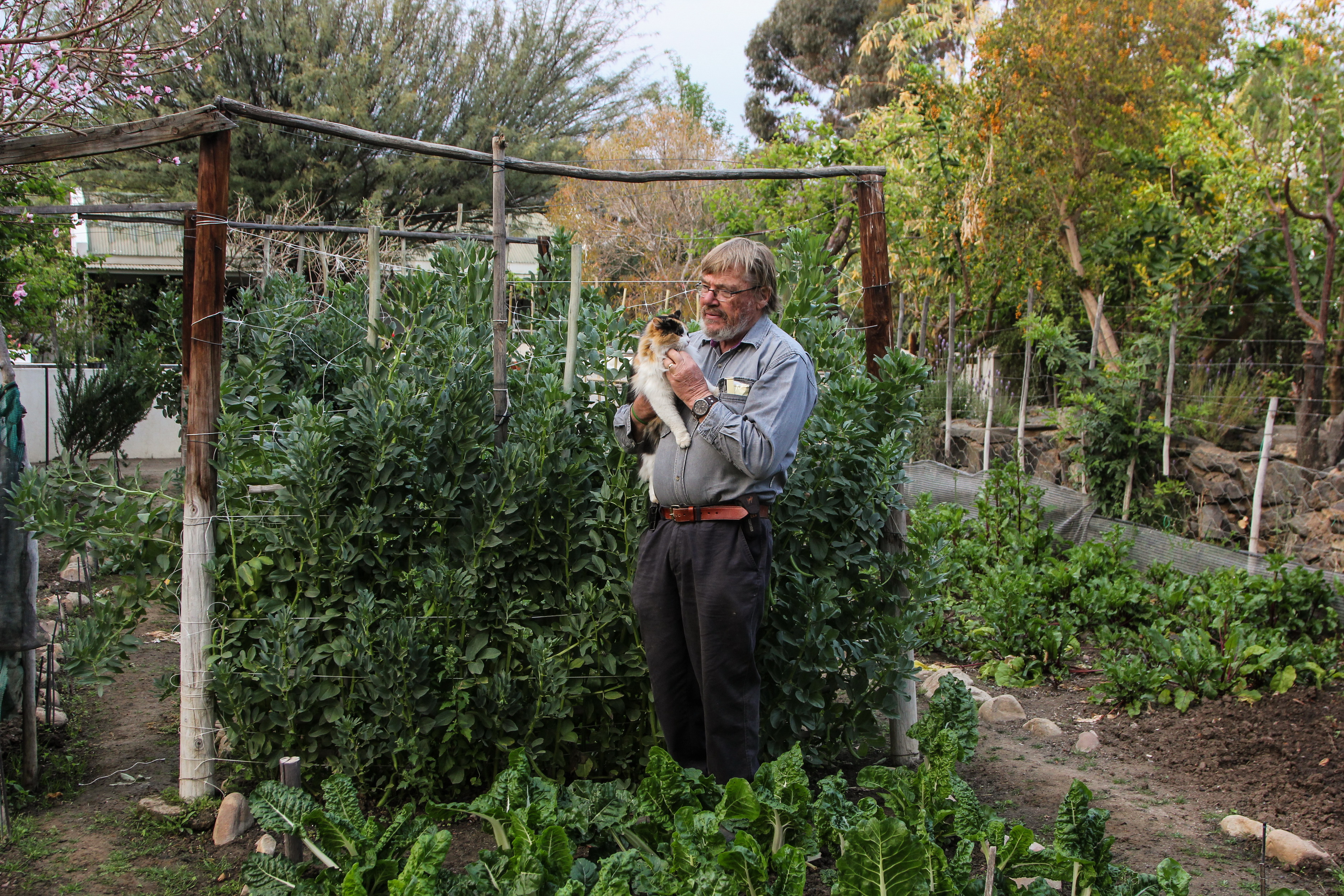 Escape to Pete Reinders’ garden and discover the marvelous golden years of a retired country doctor