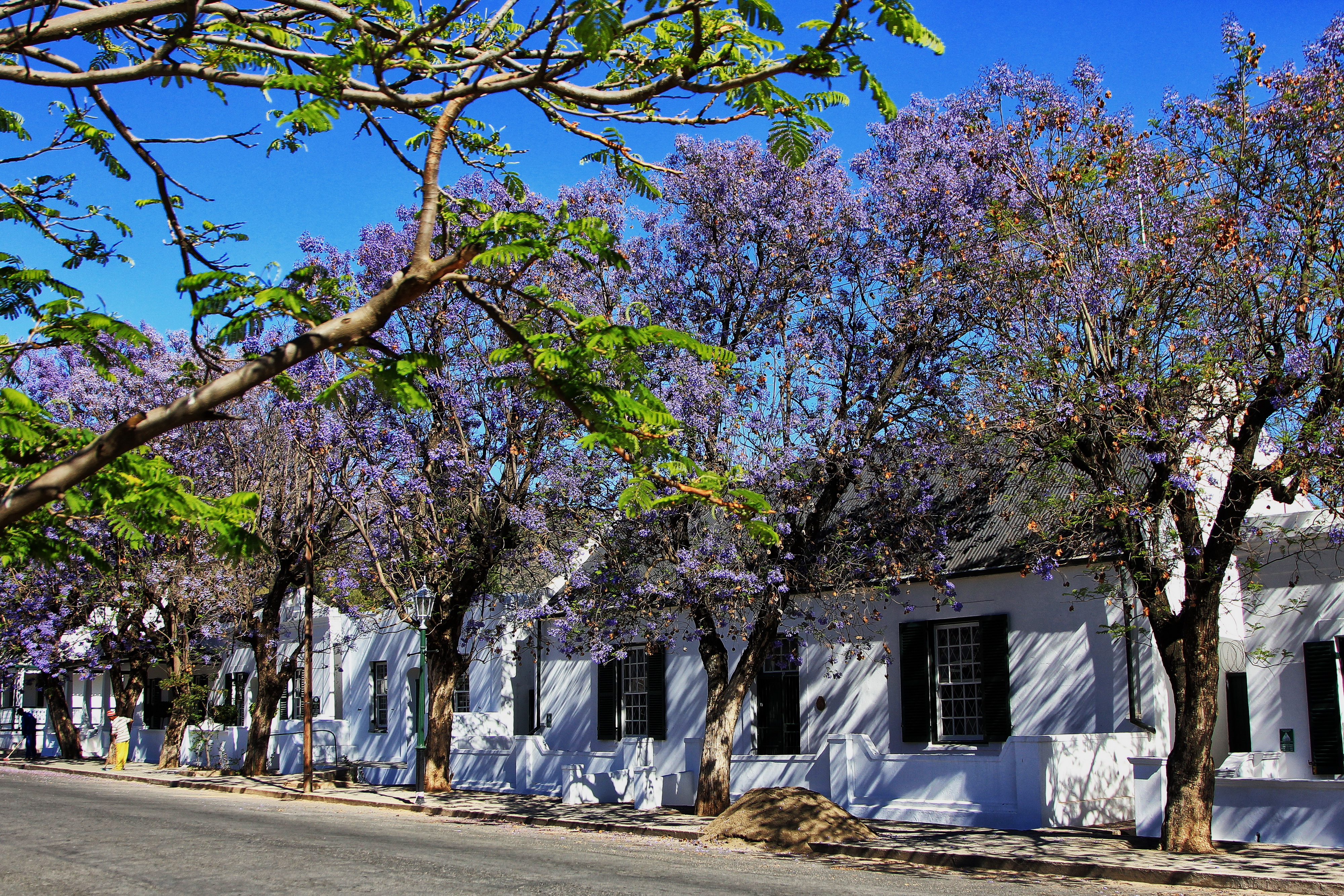 Preserve and restore an old Karoo house