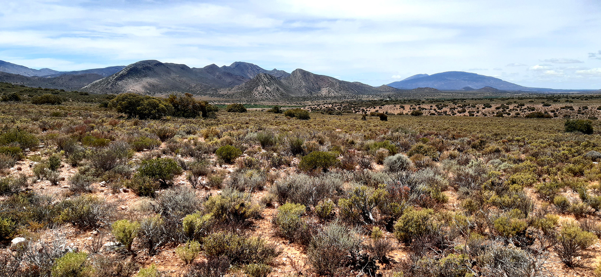 Greater Anysberg Conservation Initiative sees new habitat and environment protections come into play
