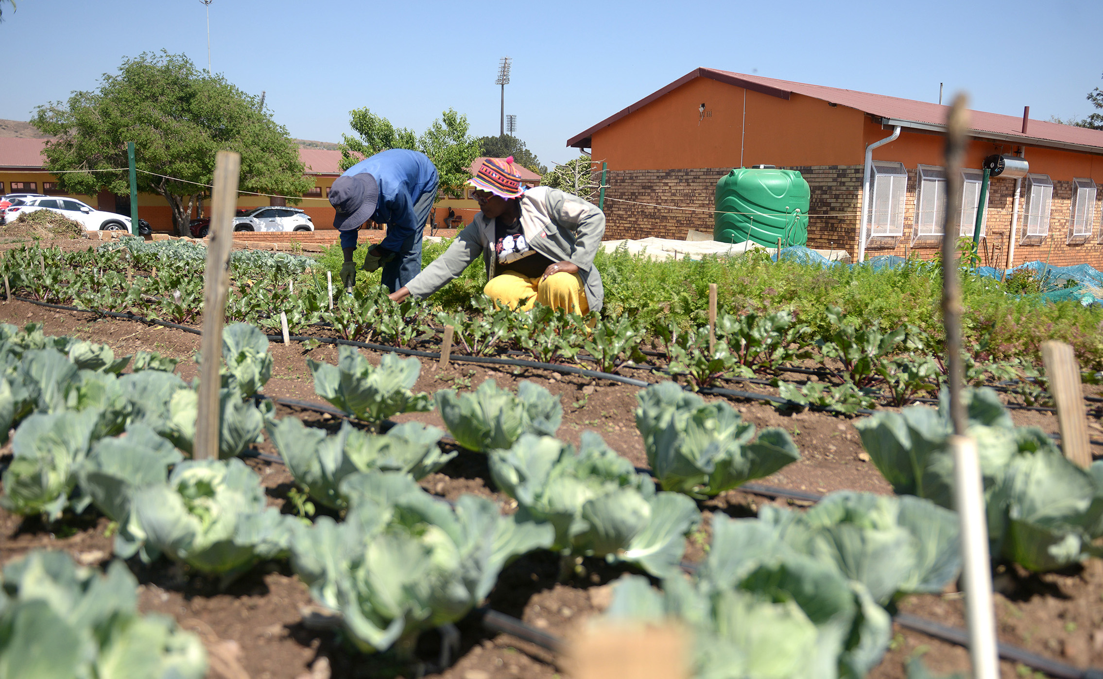 General assistant Gift Hlatshwayo and project manager Mapenane Kgatitsoe from Siyakhana Growth and Development at Matseke Primary School in Atteridgeville. (Photo: Thosh Studio) 